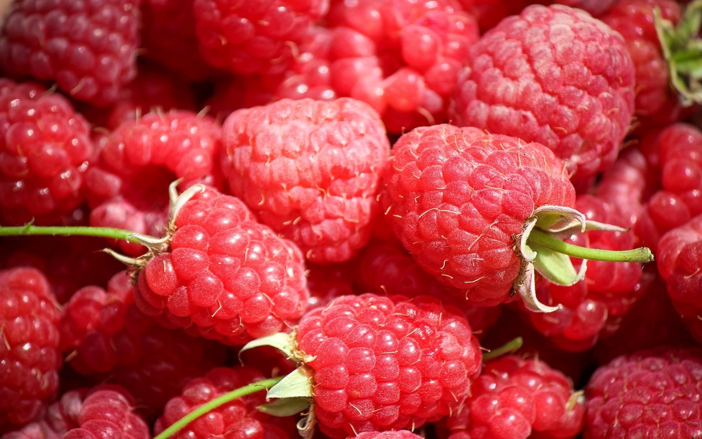 Обои макро, малина, ягоды, macro, raspberry, berries разрешение 2600x1670 Загрузить