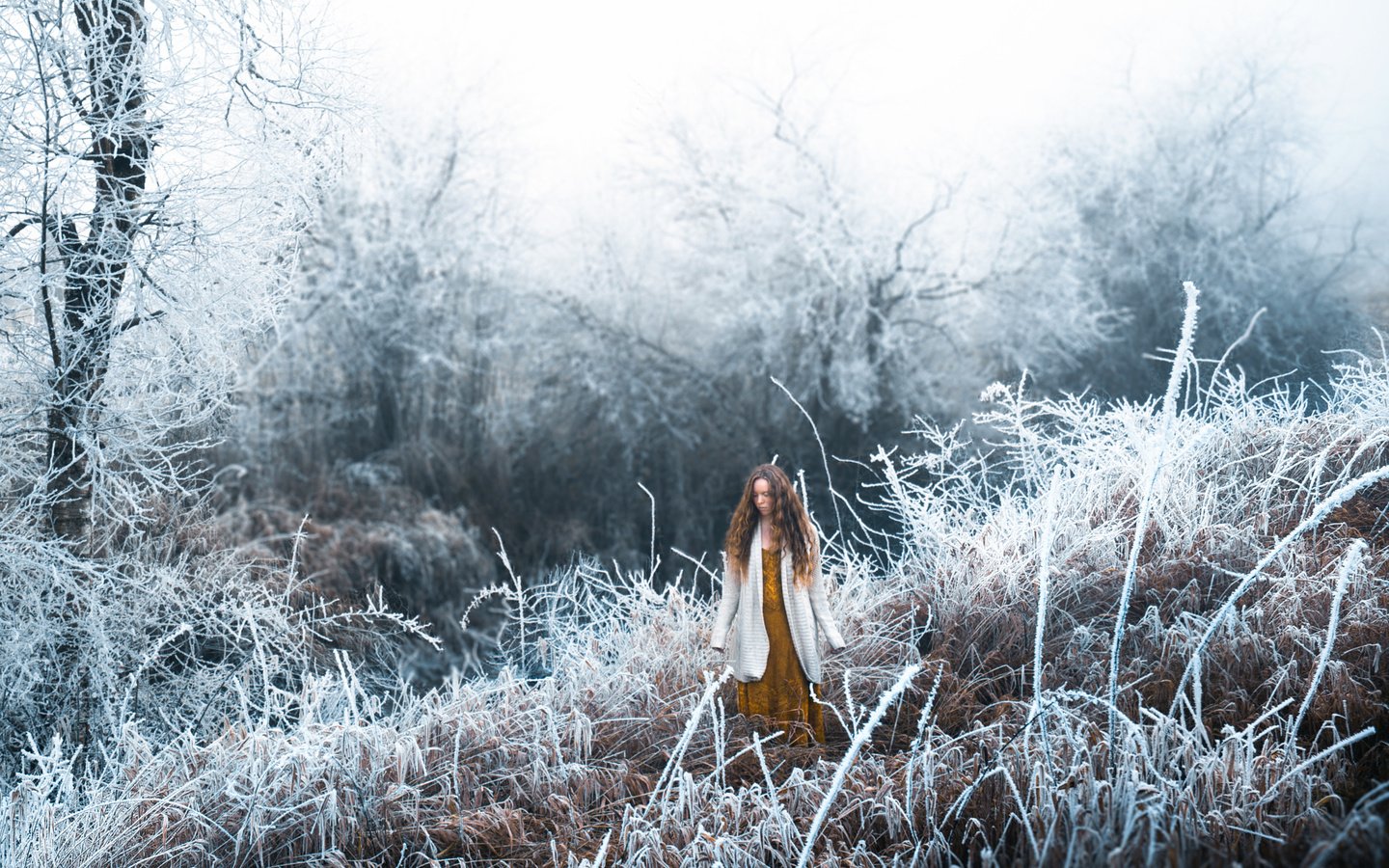 Обои трава, снег, лес, девушка, настроение, иней, длинные волосы, lizzy gadd, winter frost, grass, snow, forest, girl, mood, frost, long hair разрешение 2048x1368 Загрузить