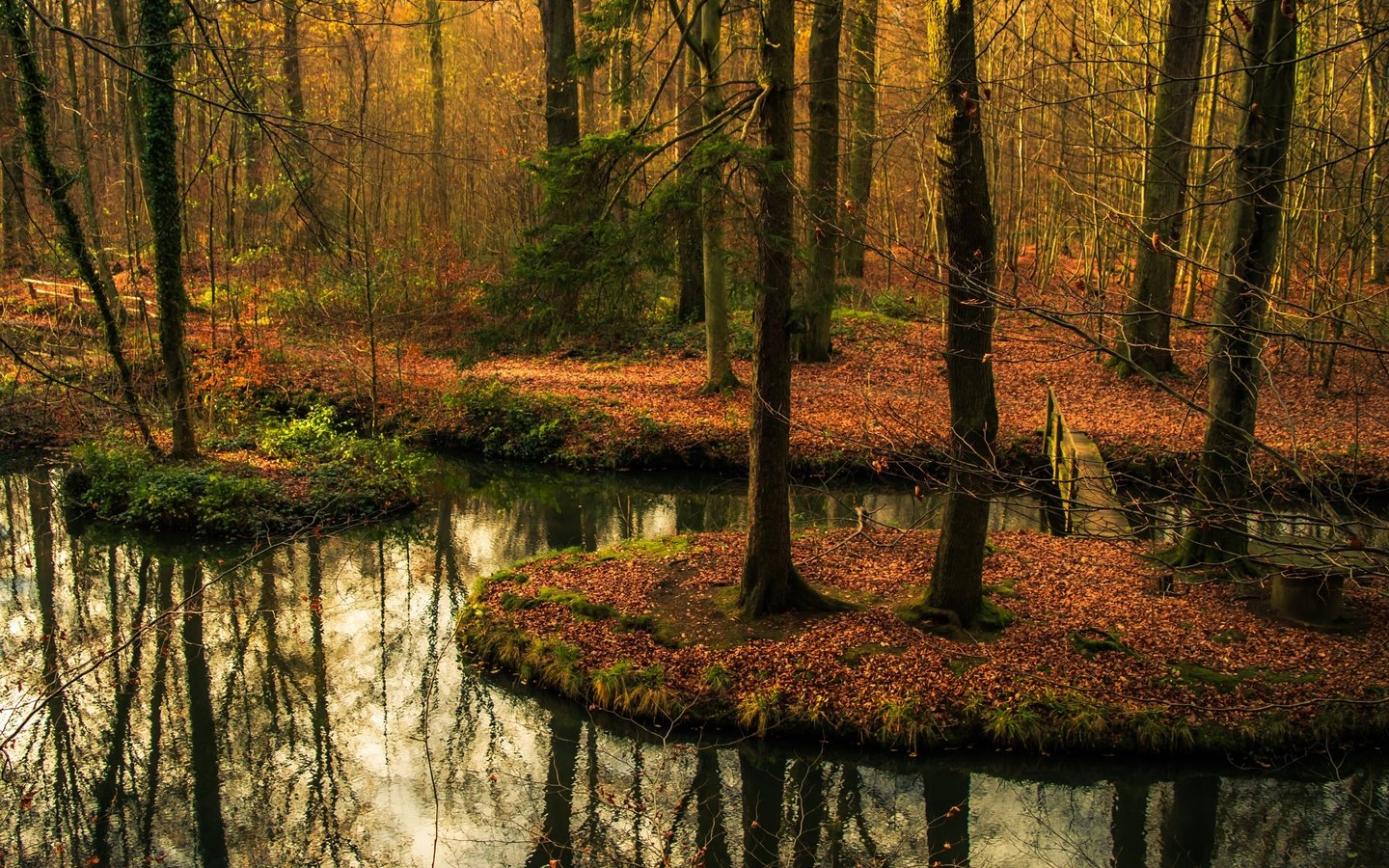 Обои деревья, вода, лес, отражение, мост, осень, водоем, осен, заркало, mirror, trees, water, forest, reflection, bridge, autumn, pond разрешение 2415x1606 Загрузить