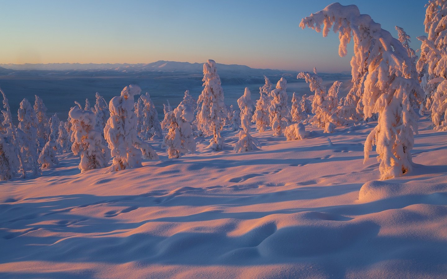 Обои деревья, снег, зима, россия, владимир рябков, якутия, trees, snow, winter, russia, vladimir ryabkov, yakutia разрешение 2400x1600 Загрузить