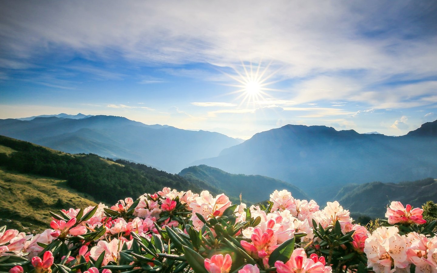 Обои небо, цветы, облака, горы, солнце, азалия, the sky, flowers, clouds, mountains, the sun, azalea разрешение 2048x1341 Загрузить