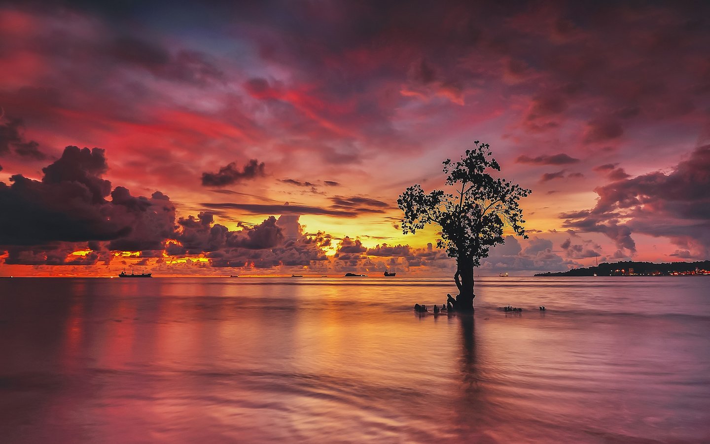 Обои облака, огни, вода, дерево, закат, отражение, корабли, clouds, lights, water, tree, sunset, reflection, ships разрешение 2048x1279 Загрузить