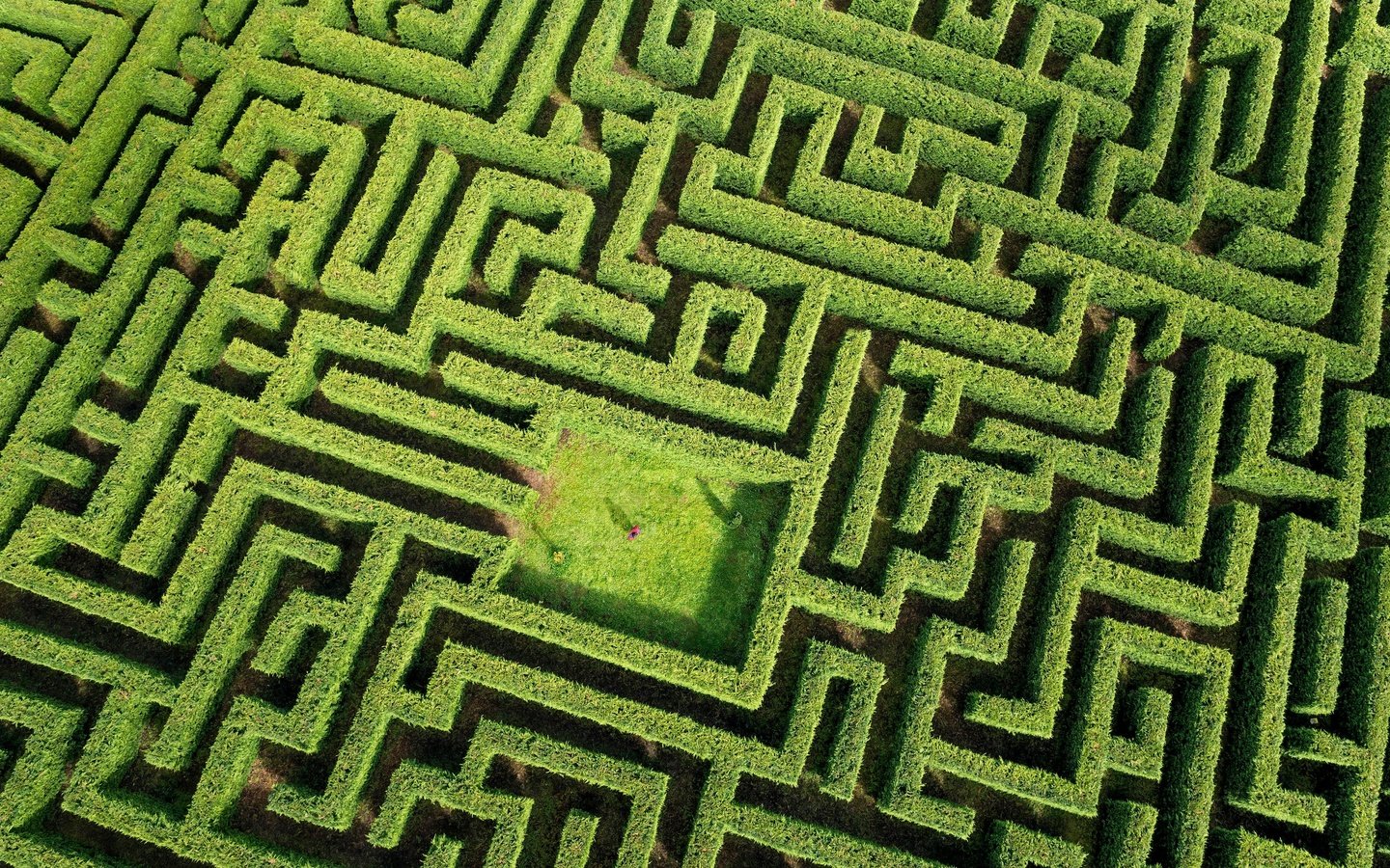 Обои зелень, растения, лабиринт, человек, greens, plants, maze, people разрешение 4320x2592 Загрузить