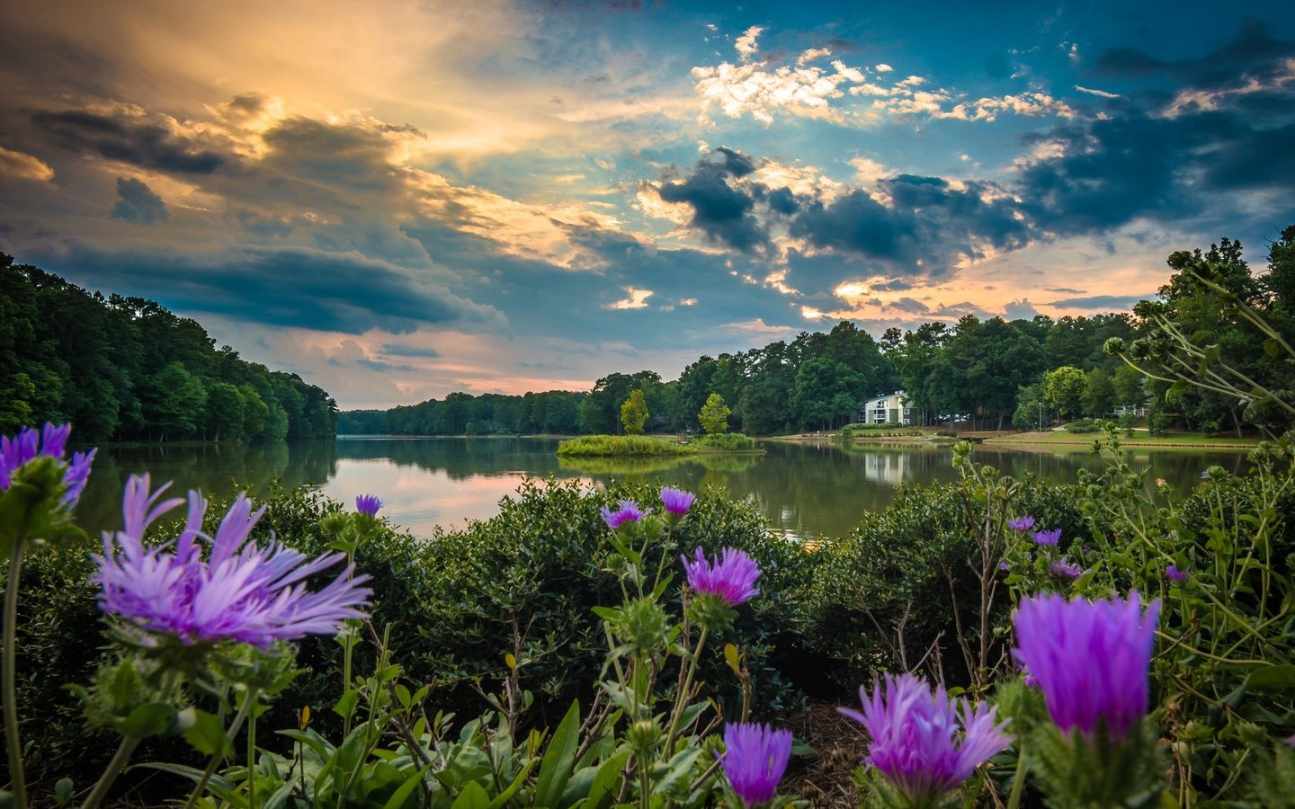 Обои небо, цветы, облака, деревья, вода, река, the sky, flowers, clouds, trees, water, river разрешение 2048x1314 Загрузить