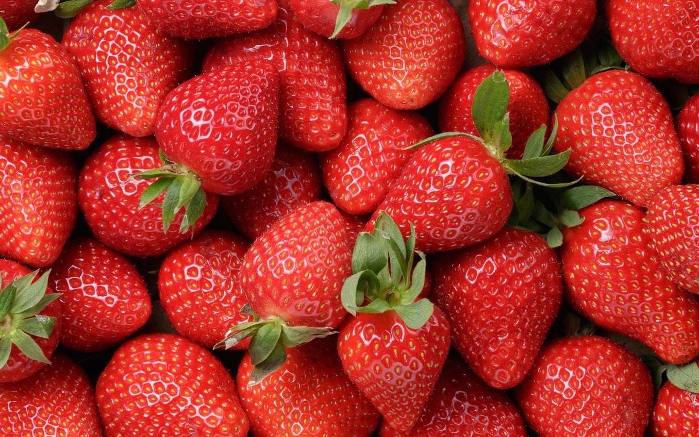 Обои клубника, ягоды, крупным планом, strawberry, berries, closeup разрешение 2560x1600 Загрузить