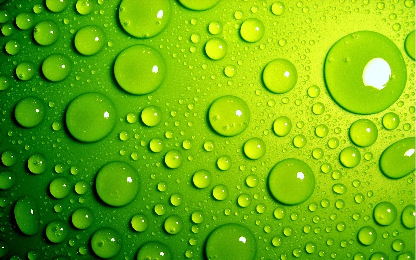 Обои зелёный, фон, капли, цвет, капли воды, green, background, drops, color, water drops разрешение 1920x1200 Загрузить