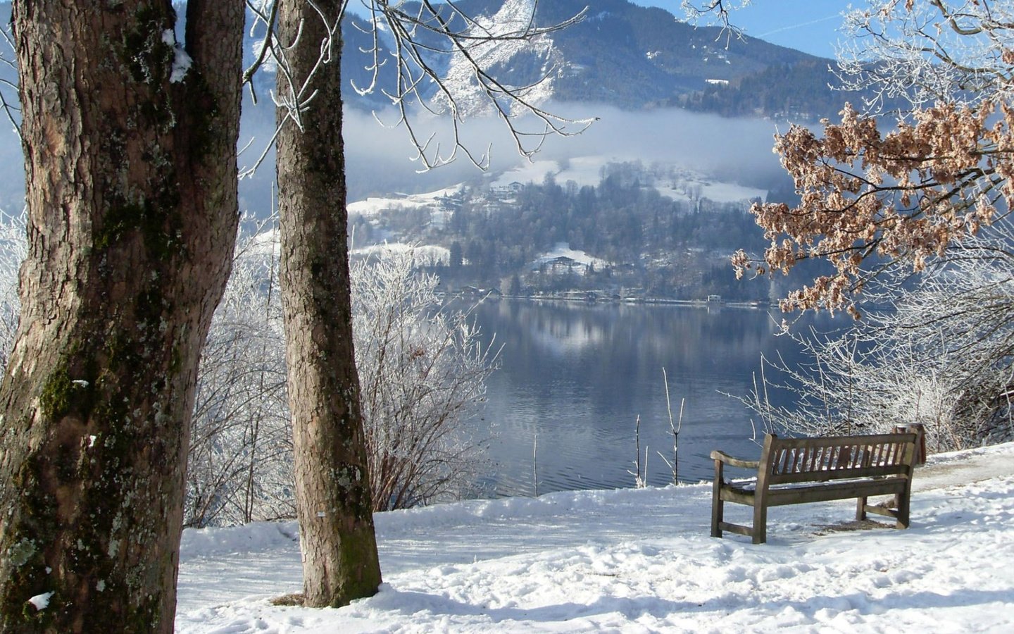 Обои деревья, река, горы, снег, зима, скамейка, trees, river, mountains, snow, winter, bench разрешение 1920x1080 Загрузить