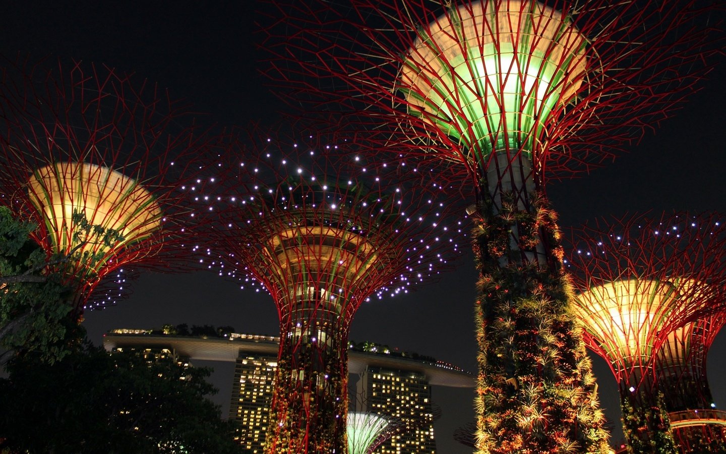 Обои свет, достопримечательность, ночь, сингапур, деревья, креативность, огни, дизайн, азия, фейерверк, освещение, light, attraction, night, singapore, trees, creativity, lights, design, asia, fireworks, lighting разрешение 1920x1280 Загрузить