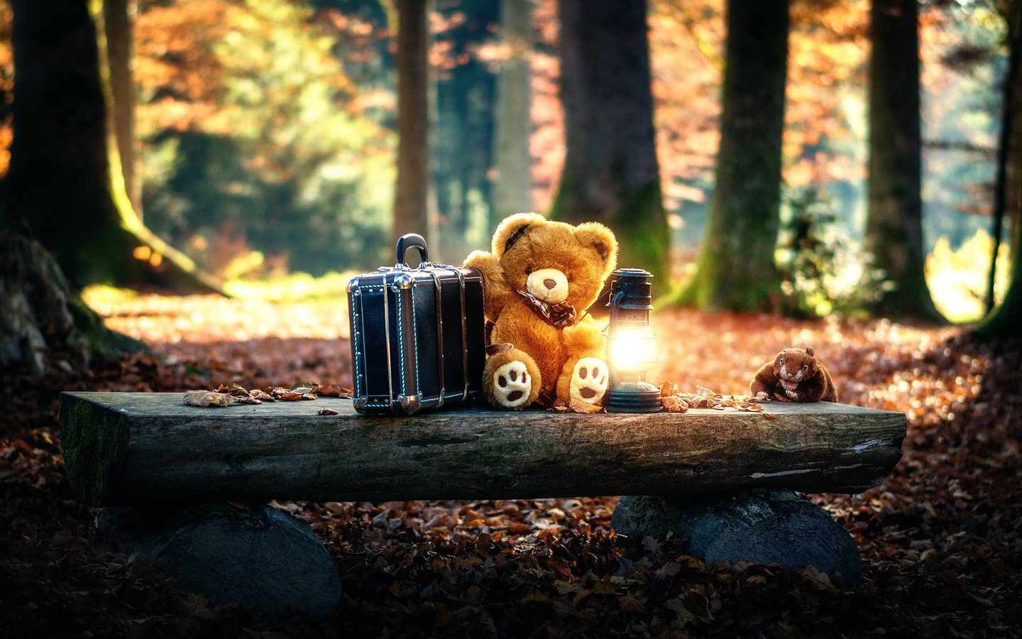 Обои лес, мишка, игрушка, фонарь, чемодан, forest, bear, toy, lantern, suitcase разрешение 1920x1200 Загрузить