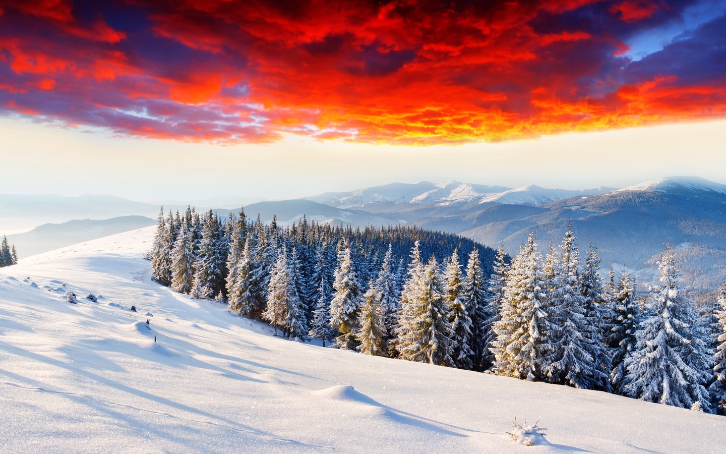 Обои горизонт, небо, елки, облака, зарево, горы, снег, природа, лес, закат, зима, horizon, the sky, tree, clouds, glow, mountains, snow, nature, forest, sunset, winter разрешение 6452x3268 Загрузить