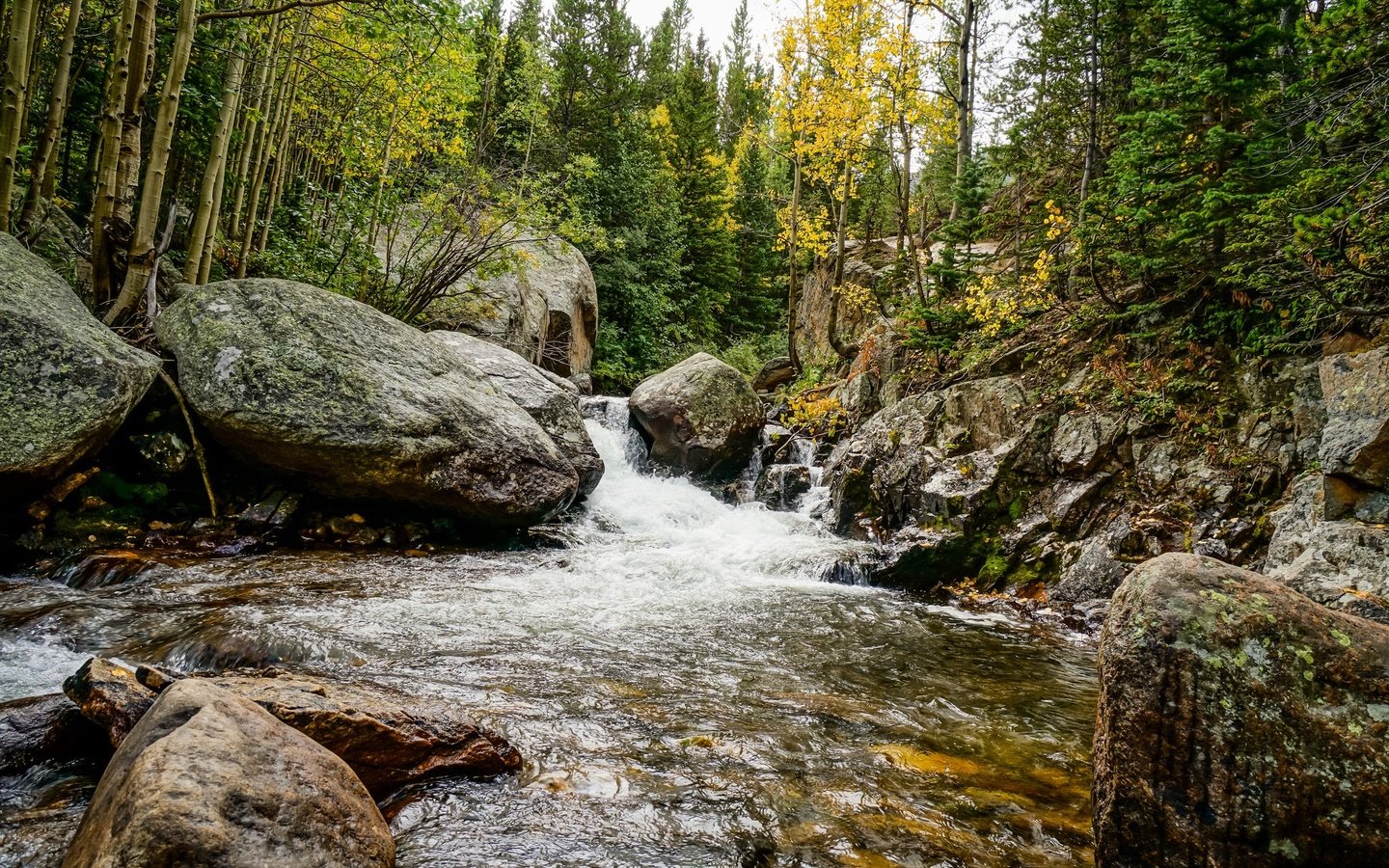 Обои деревья, река, камни, лес, осень, поток, trees, river, stones, forest, autumn, stream разрешение 2048x1365 Загрузить