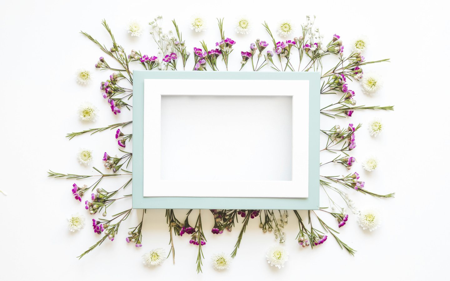 Обои цветы, лепестки, рамка, кадр,  цветы, декорация, декор, flowers, petals, frame, decoration, decor разрешение 5050x3367 Загрузить