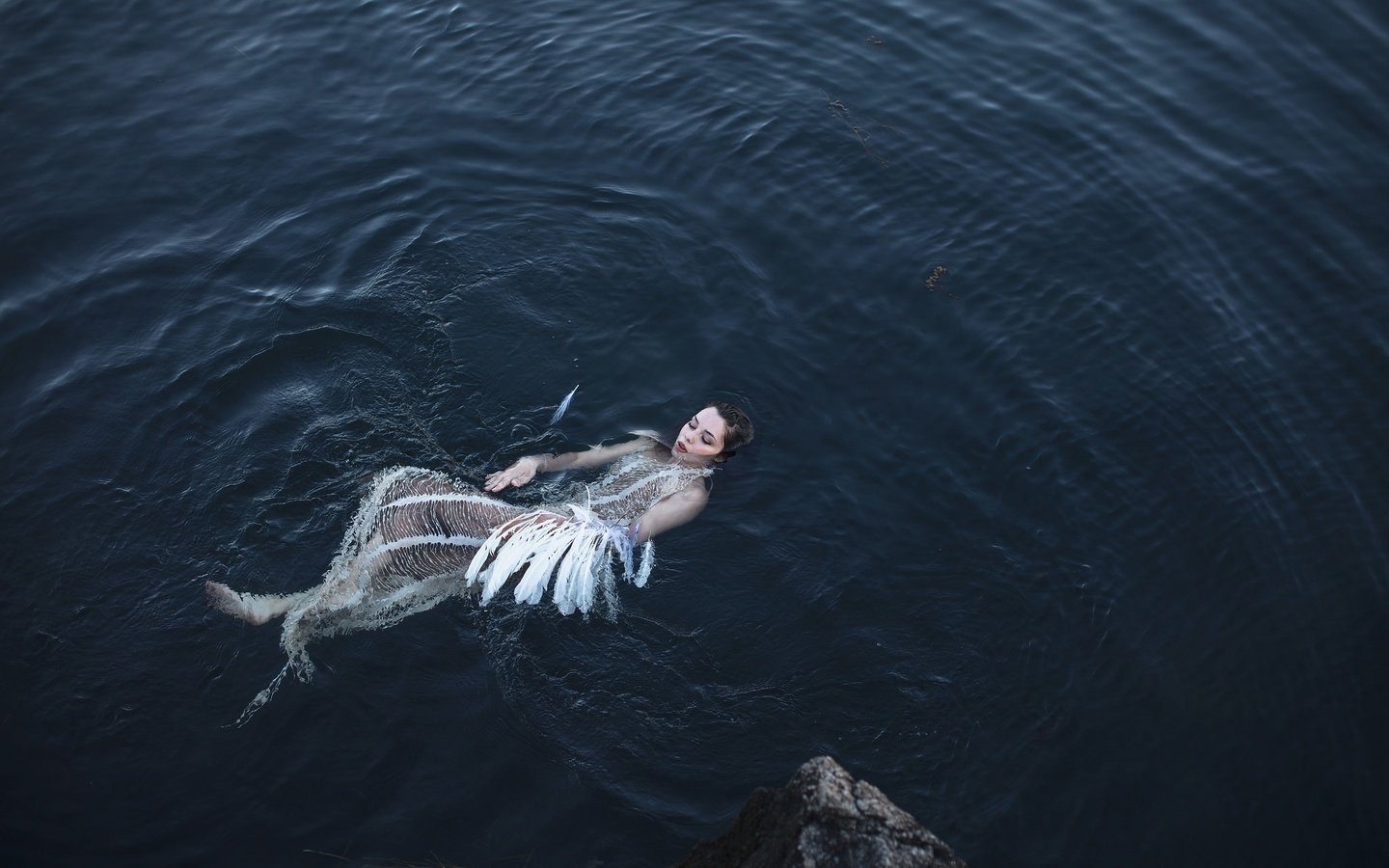 Обои девушка, модель, лицо, перья, в воде, aleah michele, girl, model, face, feathers, in the water разрешение 2048x1365 Загрузить