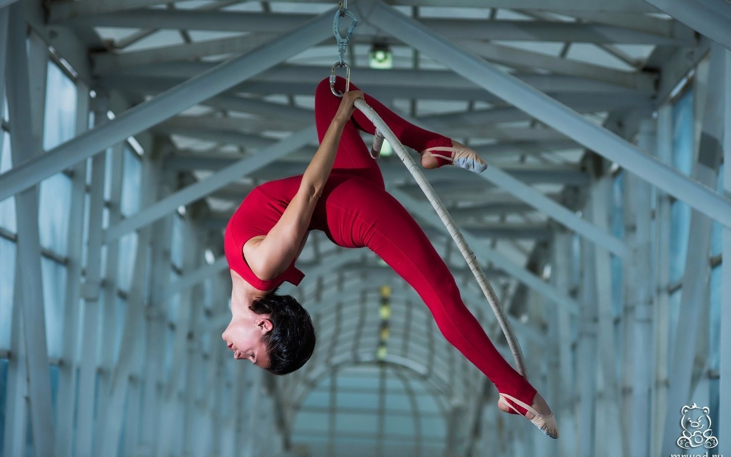 Обои девушка, гимнастка, спорт, гибкость, михаил решетников, girl, gymnast, sport, flexibility, mikhail reshetnikov разрешение 2000x1335 Загрузить