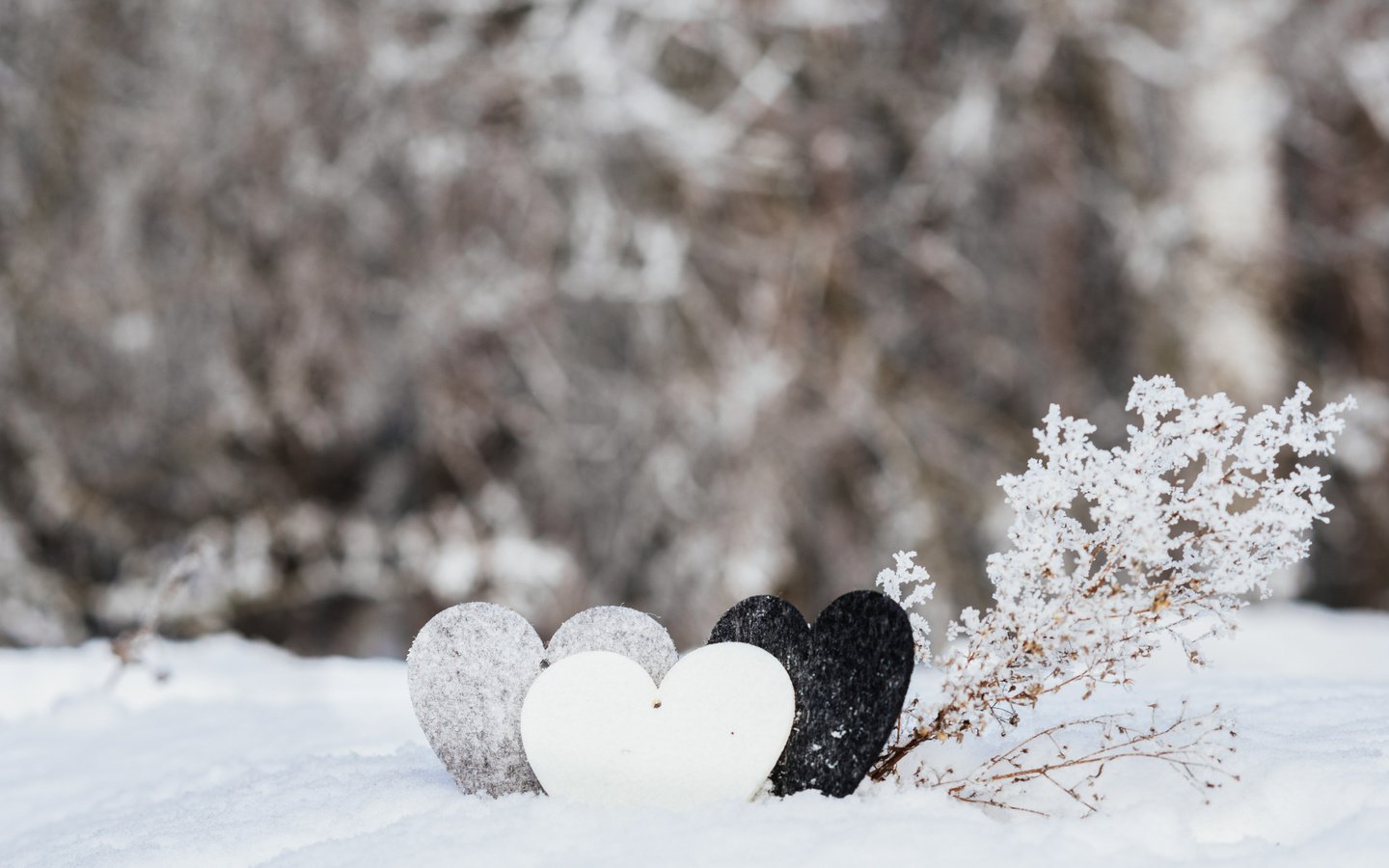 Обои снег, зима, сердце, любовь, романтик, валентинка, snow, winter, heart, love, romantic, valentine разрешение 2112x1188 Загрузить