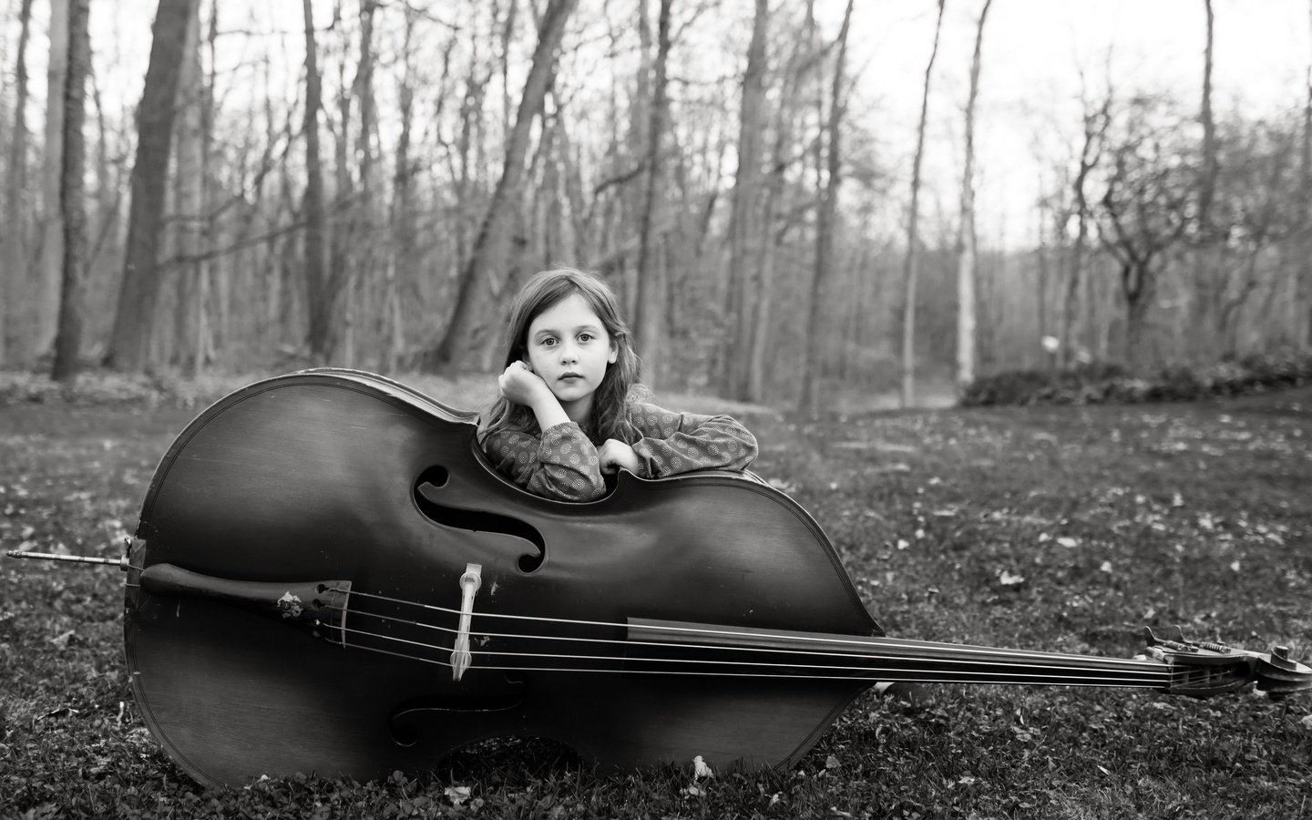 Обои музыка, девочка, виолончель, music, girl, cello разрешение 3840x2160 Загрузить