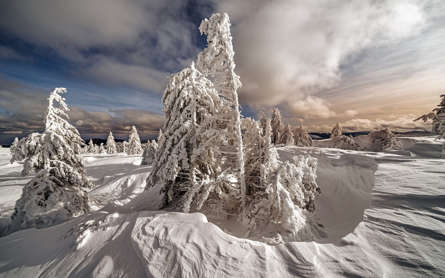 Обои небо, сугробы, облака, снег, природа, лес, зима, ели, елочки, the sky, the snow, clouds, snow, nature, forest, winter, ate, christmas trees разрешение 2000x1334 Загрузить