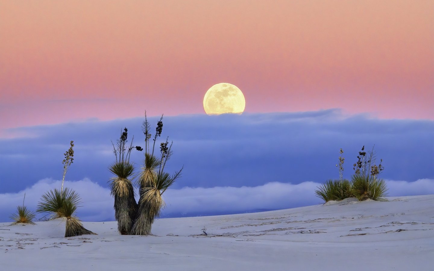 Обои пустыня, луна, сша, нью-мексико, white sands national monume, desert, the moon, usa, new mexico разрешение 2048x1356 Загрузить