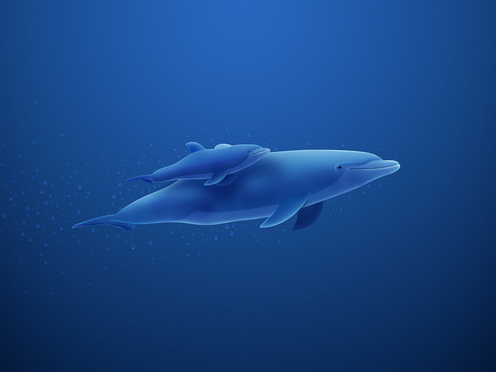 Обои синий, пузыри, дельфин, blue, bubbles, dolphin разрешение 2560x1600 Загрузить