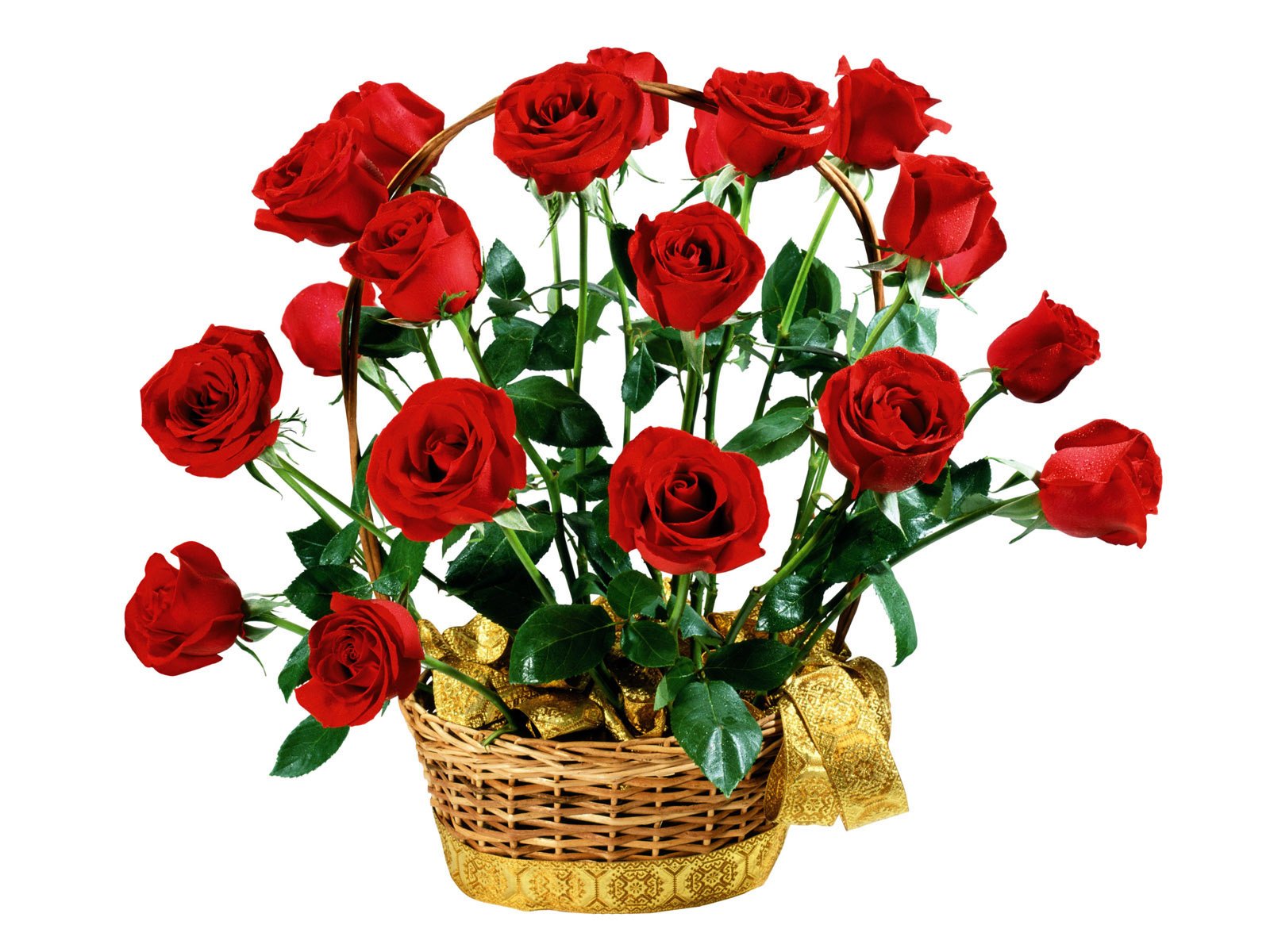 Обои цветы, розы, красные, букет, белый фон, подарок, flowers, roses, red, bouquet, white background, gift разрешение 1920x1200 Загрузить