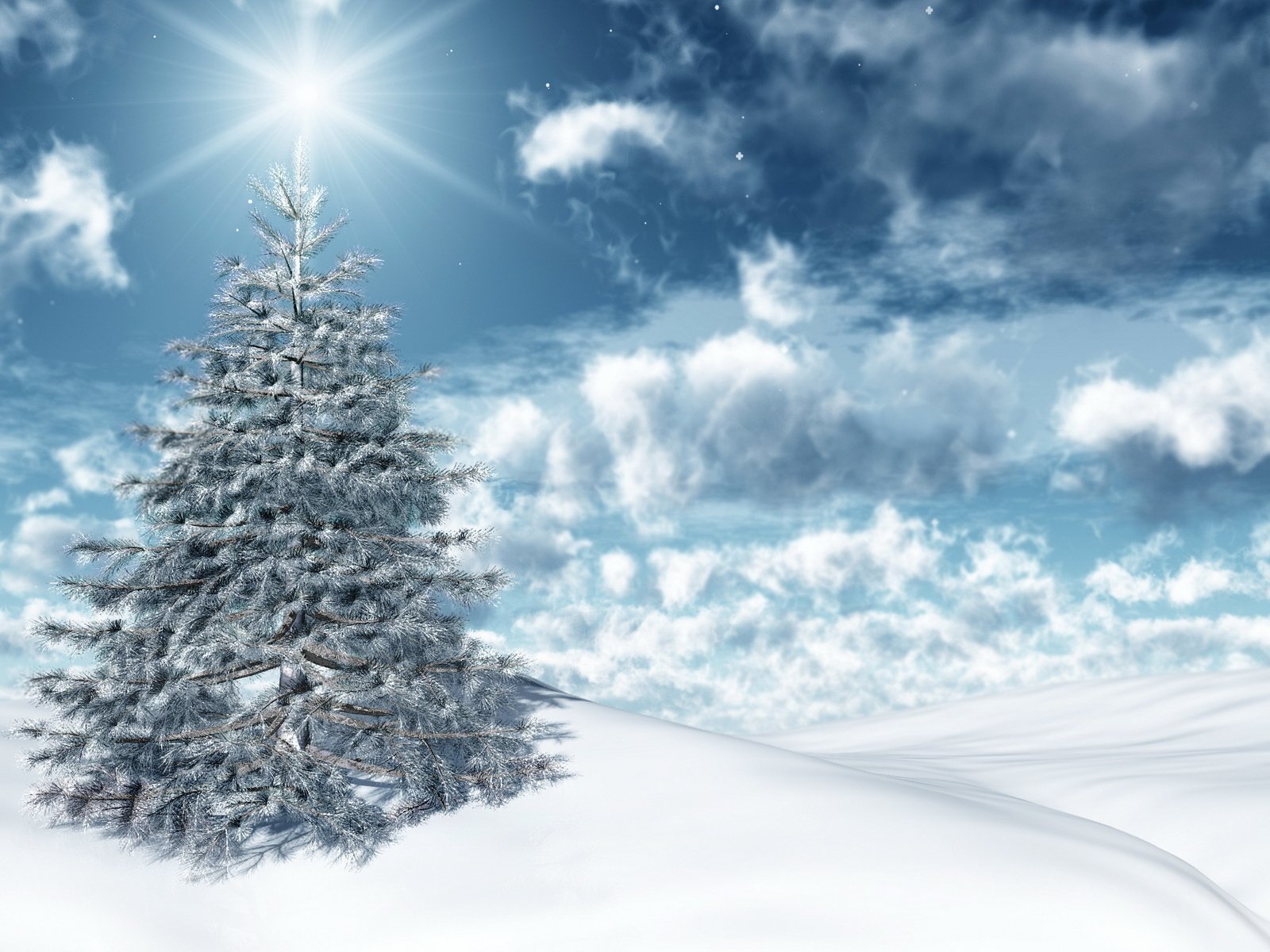 Обои праздник, небо, свет, облака, солнце, снег, новый год, зима, ель, holiday, the sky, light, clouds, the sun, snow, new year, winter, spruce разрешение 1920x1200 Загрузить