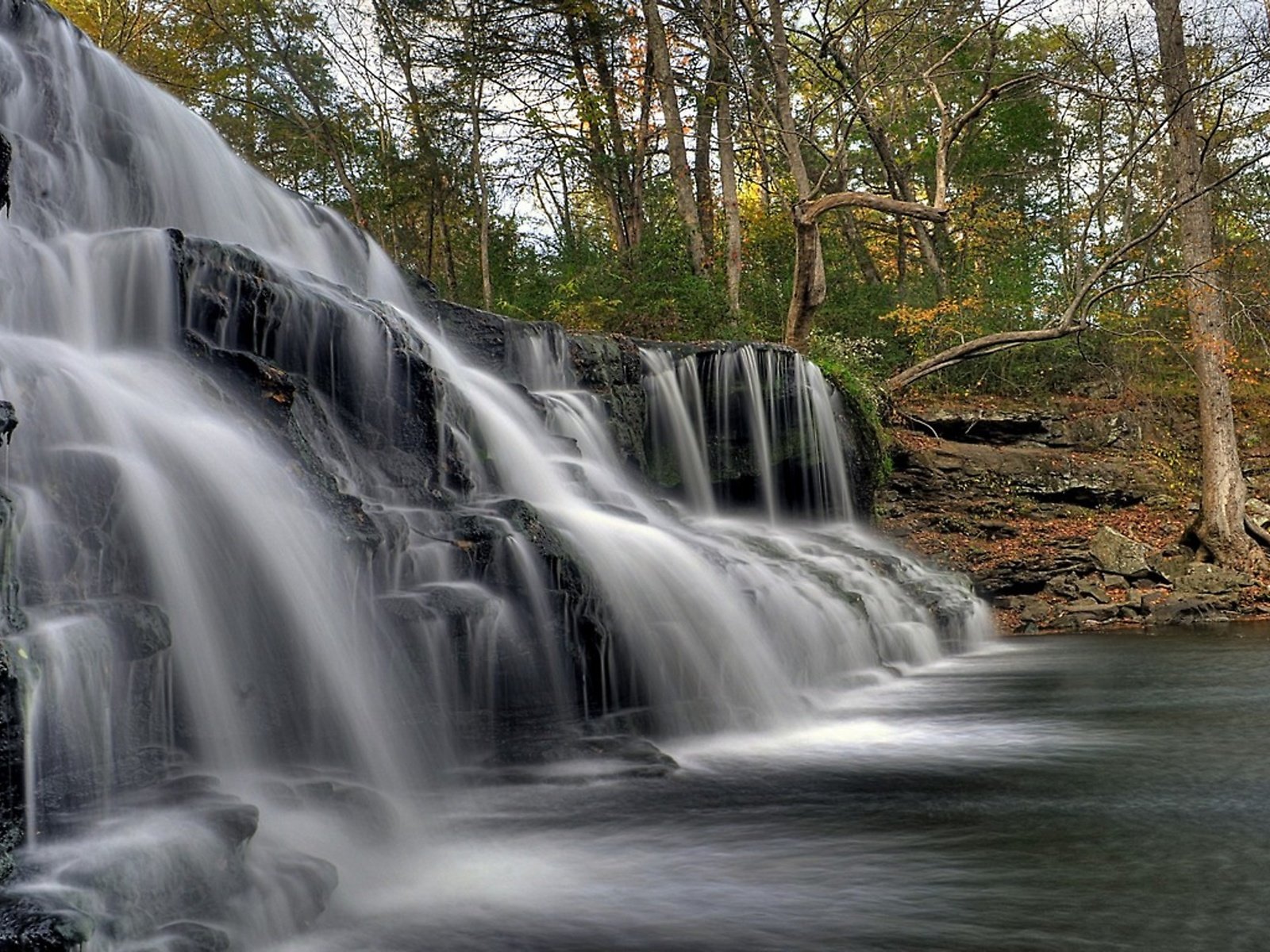 Обои водопад в лесу, waterfall in the forest разрешение 2560x1440 Загрузить
