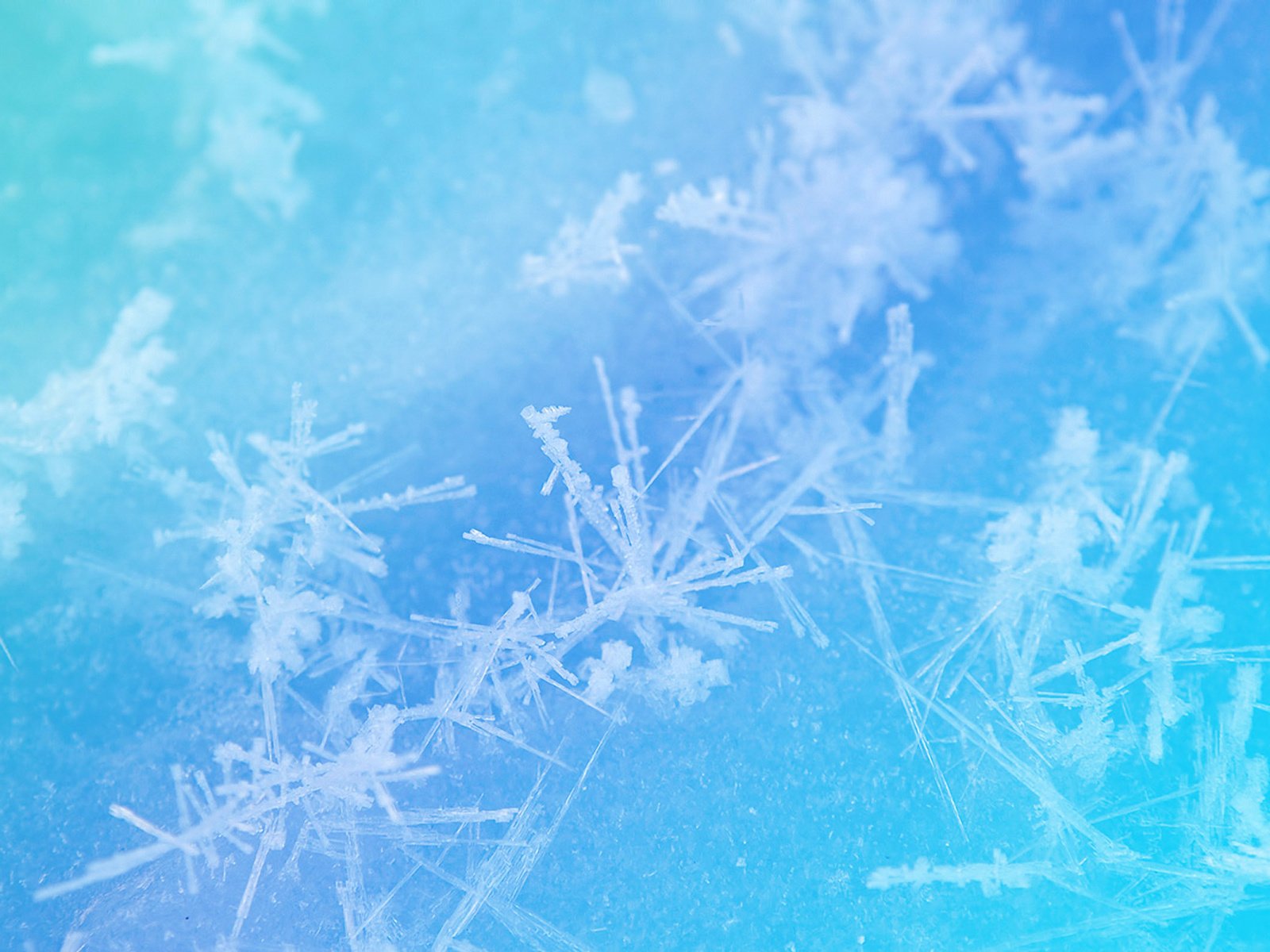 Обои снежинки, зимний узор, голубая текстура, snowflakes, winter pattern, blue texture разрешение 2560x1600 Загрузить