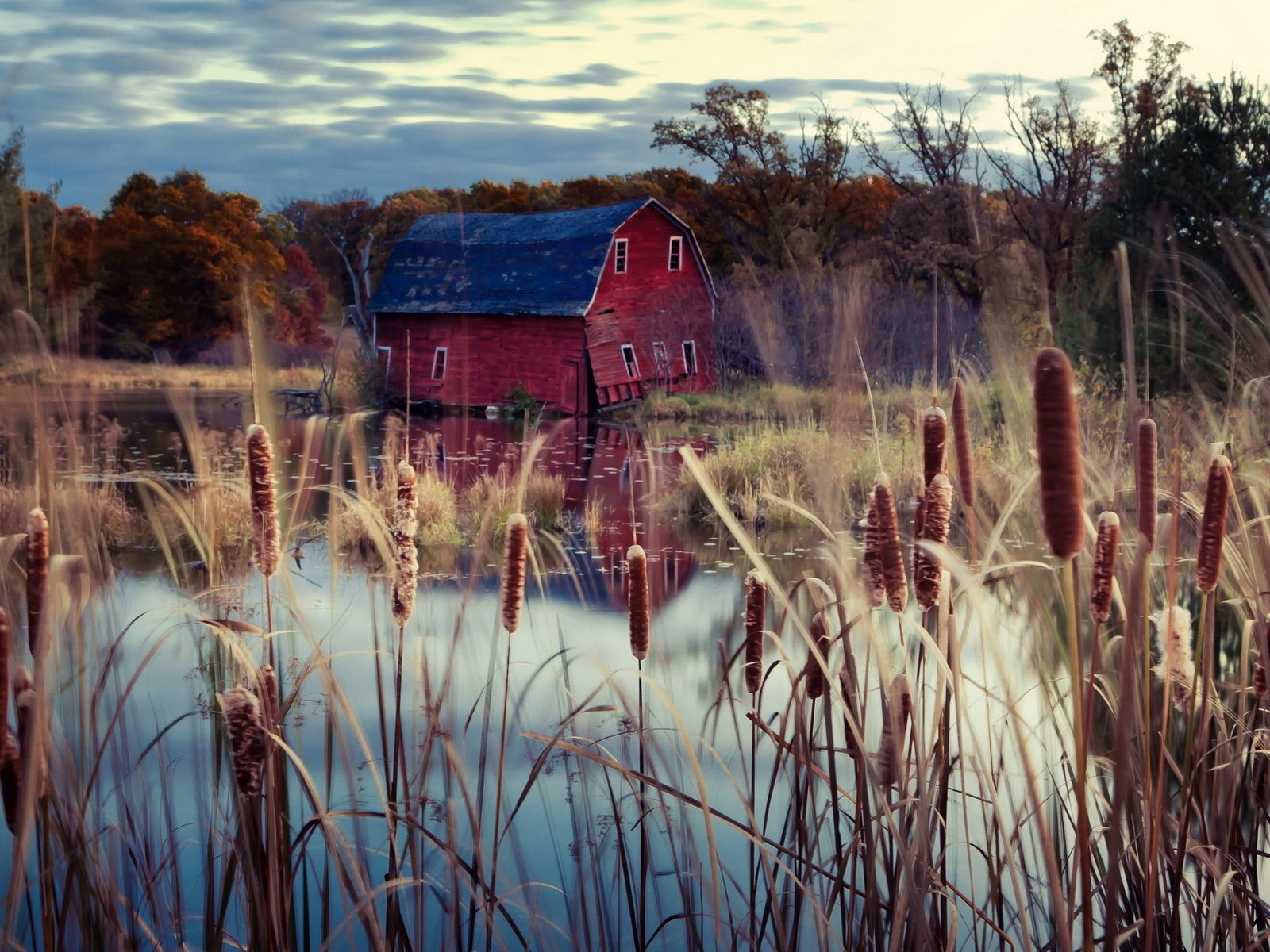 Обои деревья, озеро, осень, дом, камыш, trees, lake, autumn, house, reed разрешение 1920x1200 Загрузить