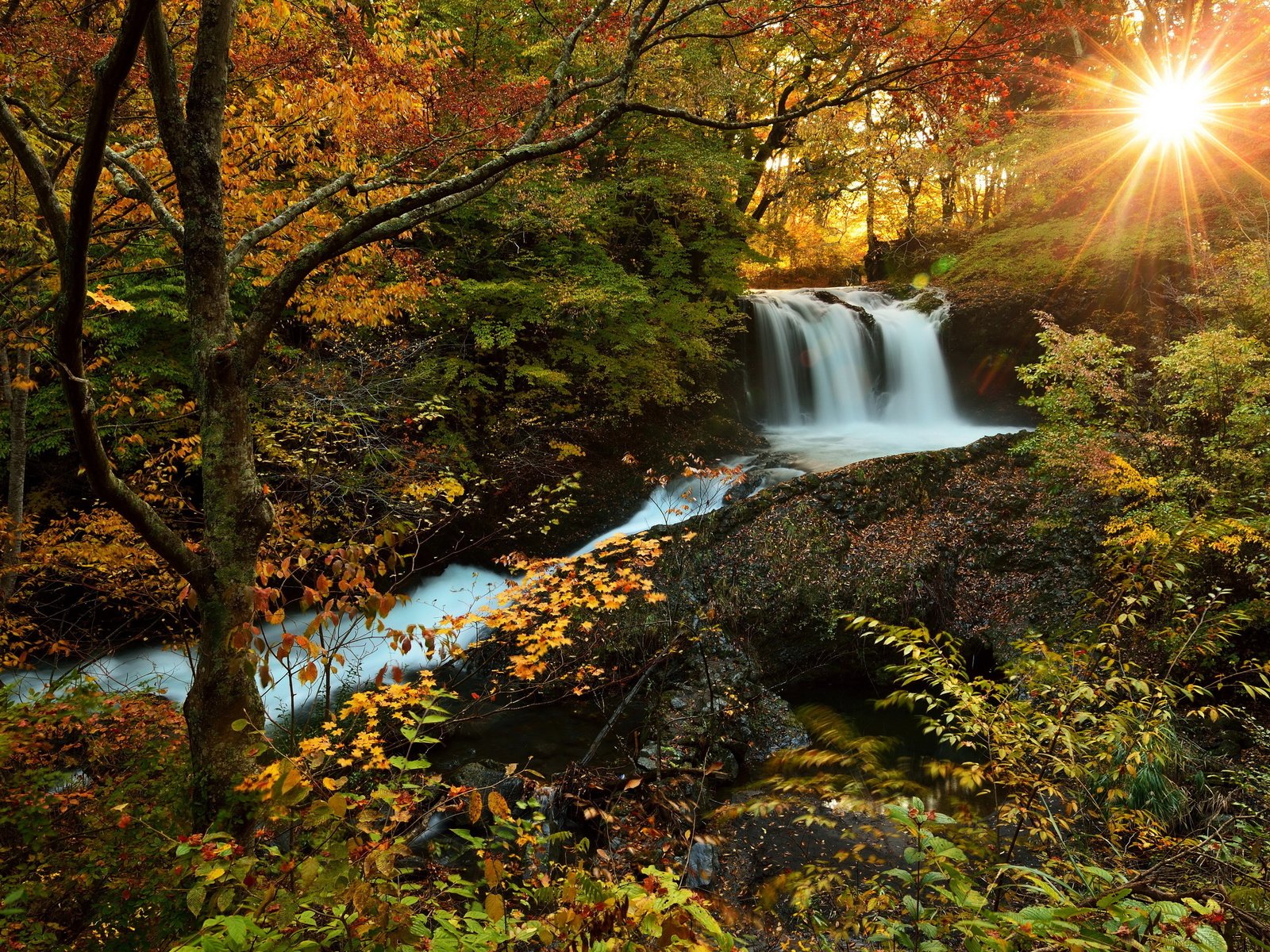 Обои солнце, лес, водопад, осень, природа., the sun, forest, waterfall, autumn, nature. разрешение 3000x1997 Загрузить