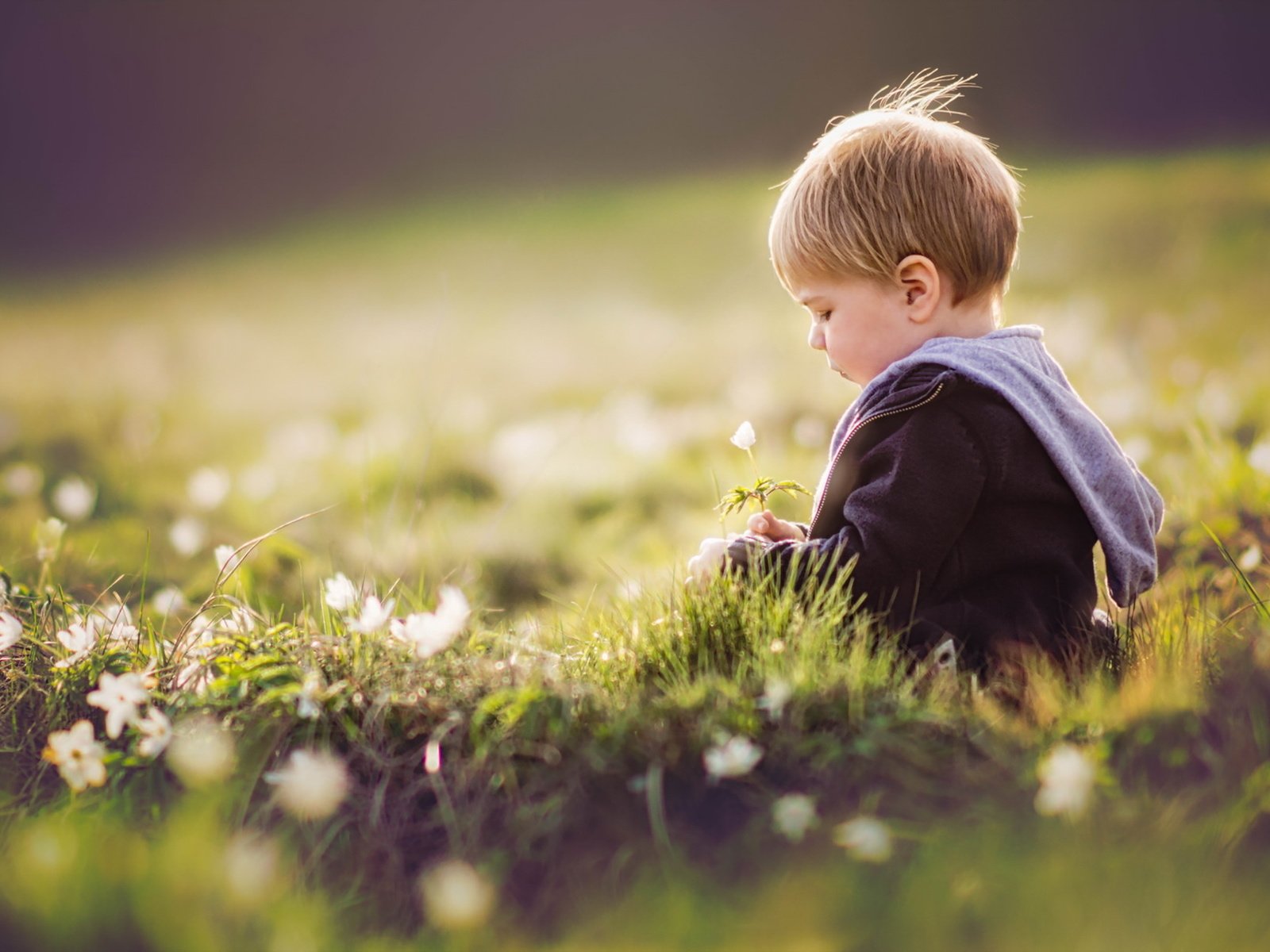 Обои цветы, трава, лето, дети, ребенок, мальчик, flowers, grass, summer, children, child, boy разрешение 1920x1280 Загрузить