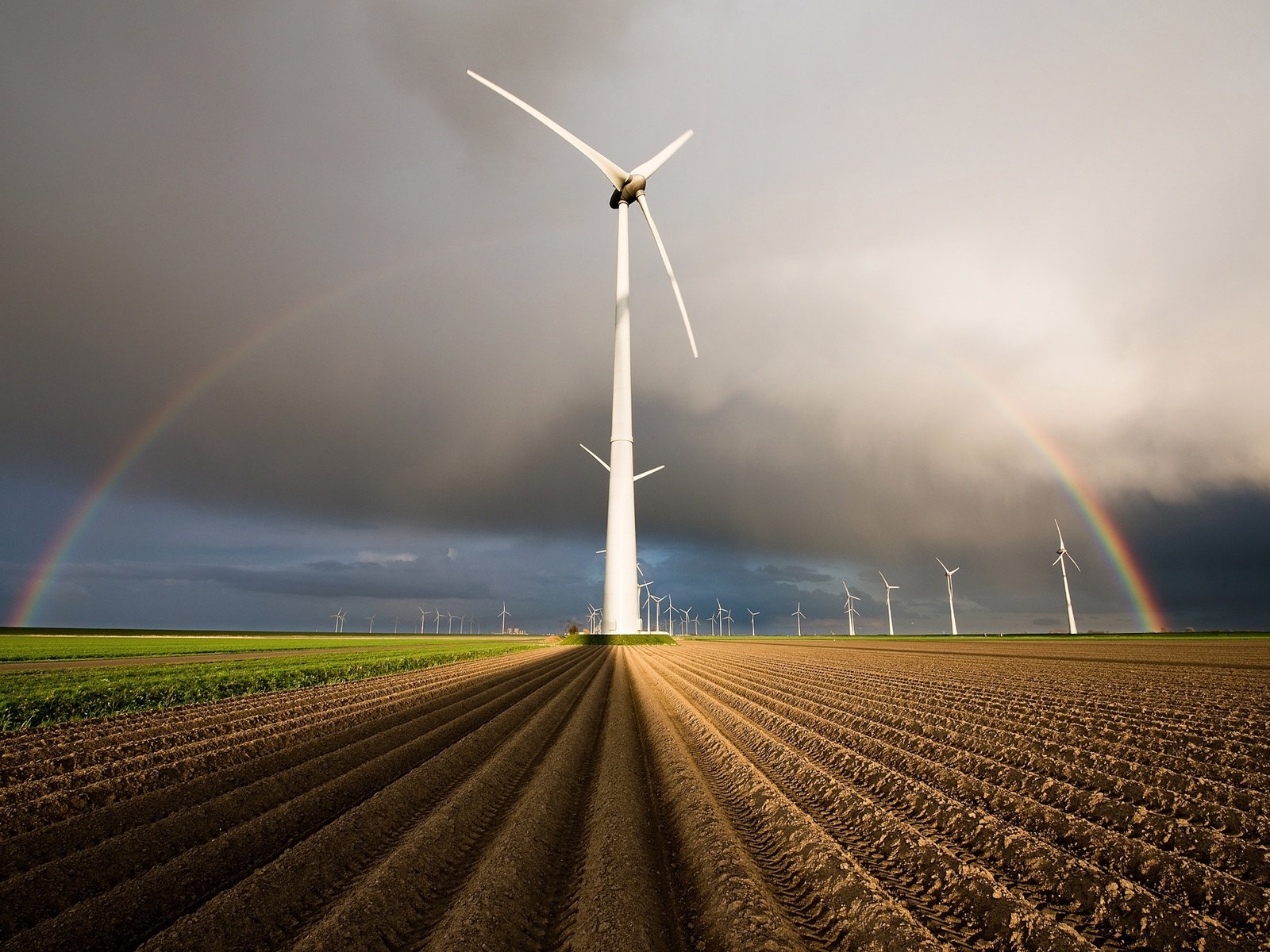 Обои поля, радуга, нидерланды, голландия, ветряные генераторы, field, rainbow, netherlands, holland, wind generators разрешение 2048x1367 Загрузить