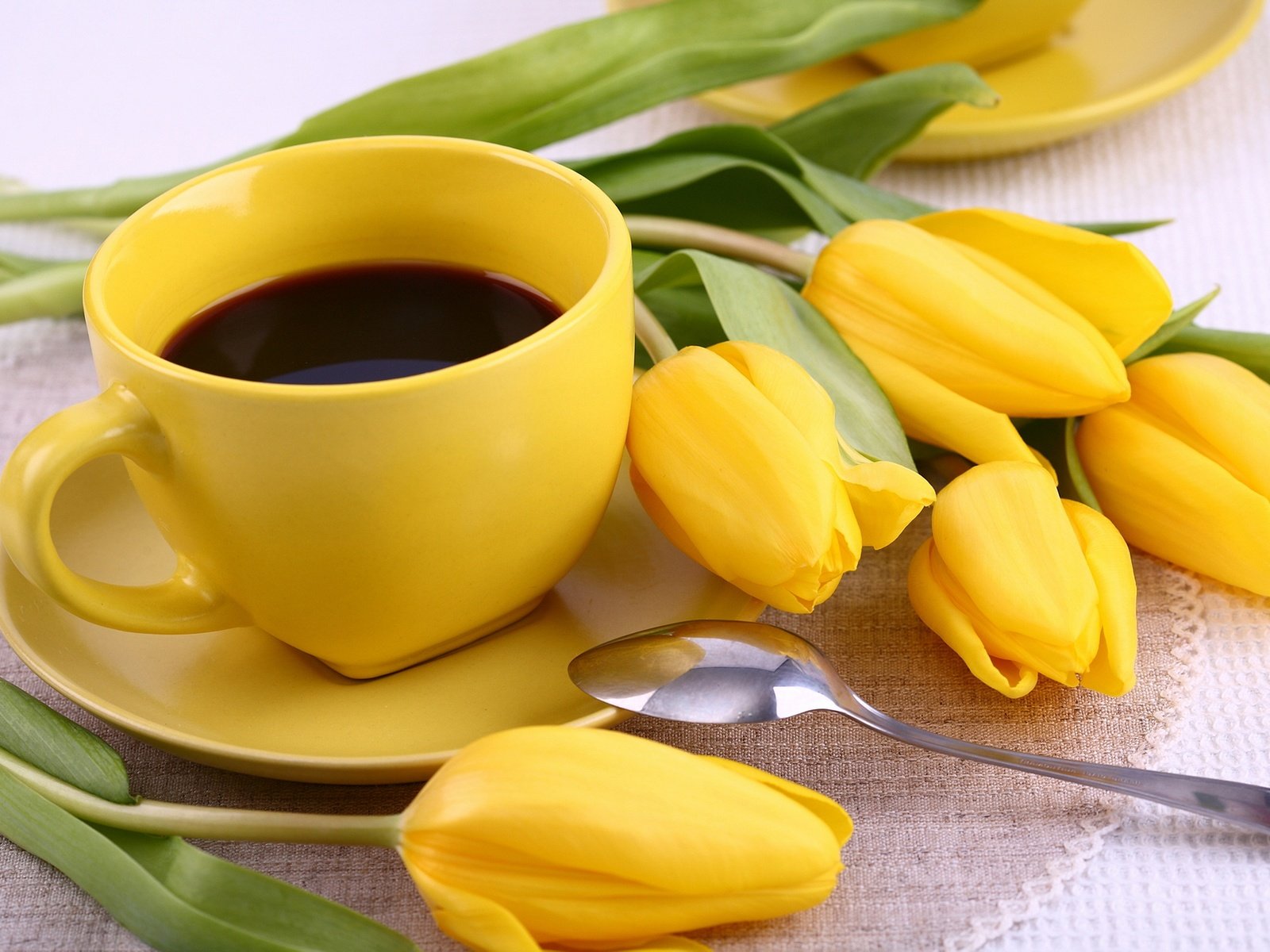 Обои цветы, кофе, тюльпаны, чашка, завтрак, жёлтая, кубок, тульпаны,  цветы, flowers, coffee, tulips, cup, breakfast, yellow разрешение 2880x1920 Загрузить