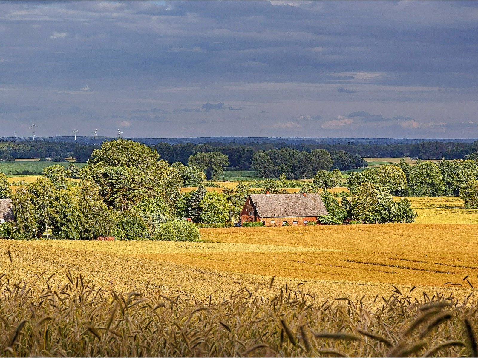 Обои деревья, пейзаж, поле, дома, trees, landscape, field, home разрешение 3544x1775 Загрузить