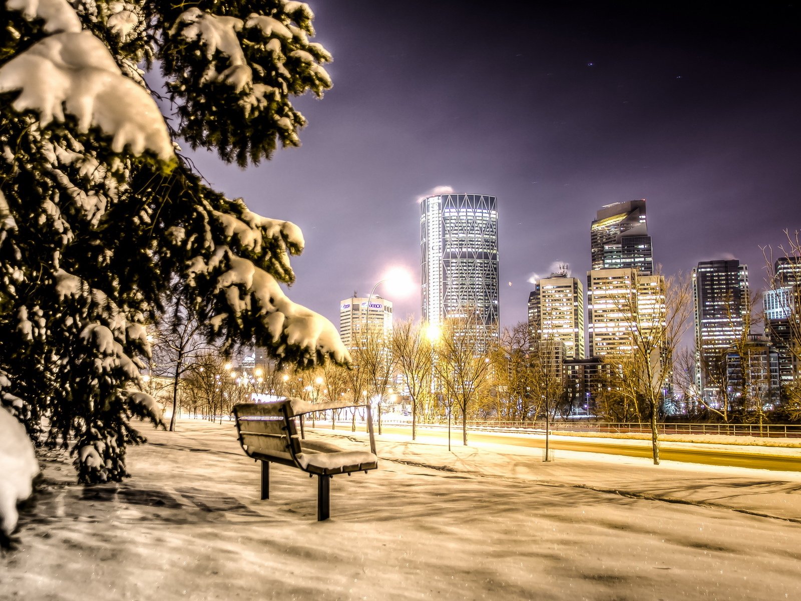 Обои ночь, город, скамья, канада, калгари, night, the city, bench, canada, calgary разрешение 2560x1600 Загрузить