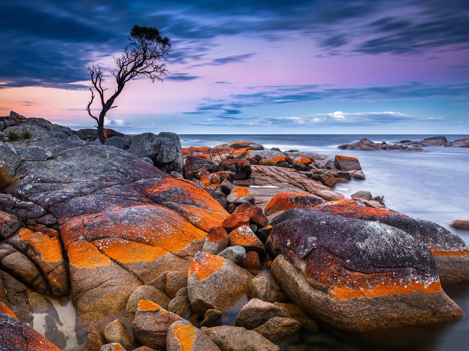 Обои дерево, камни, берег, закат, море, австралия, тасмания, tree, stones, shore, sunset, sea, australia, tasmania разрешение 2048x1365 Загрузить