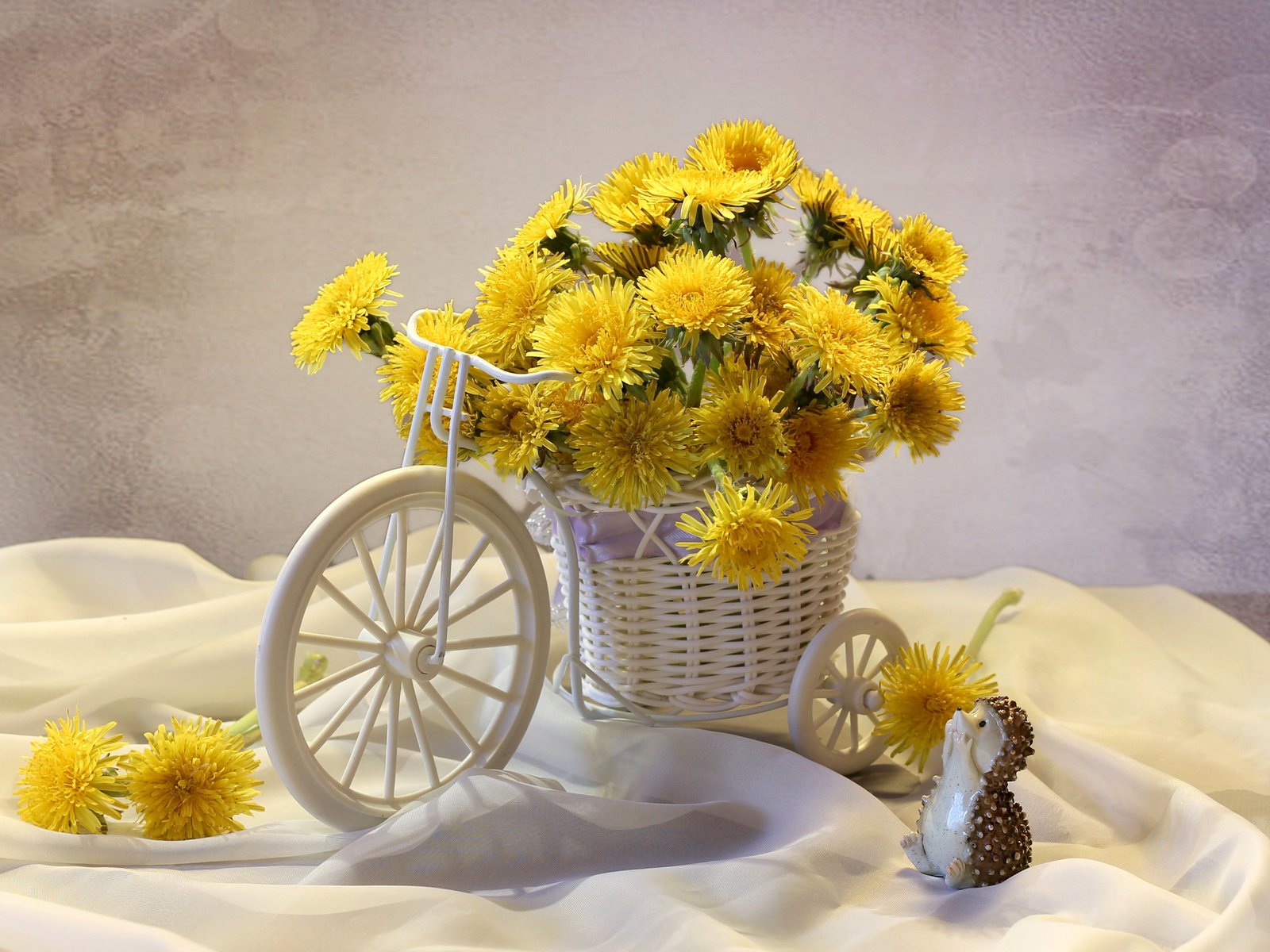 Обои желтый, одуванчики, ежик, тачка, yellow, dandelions, hedgehog, car разрешение 2870x1855 Загрузить