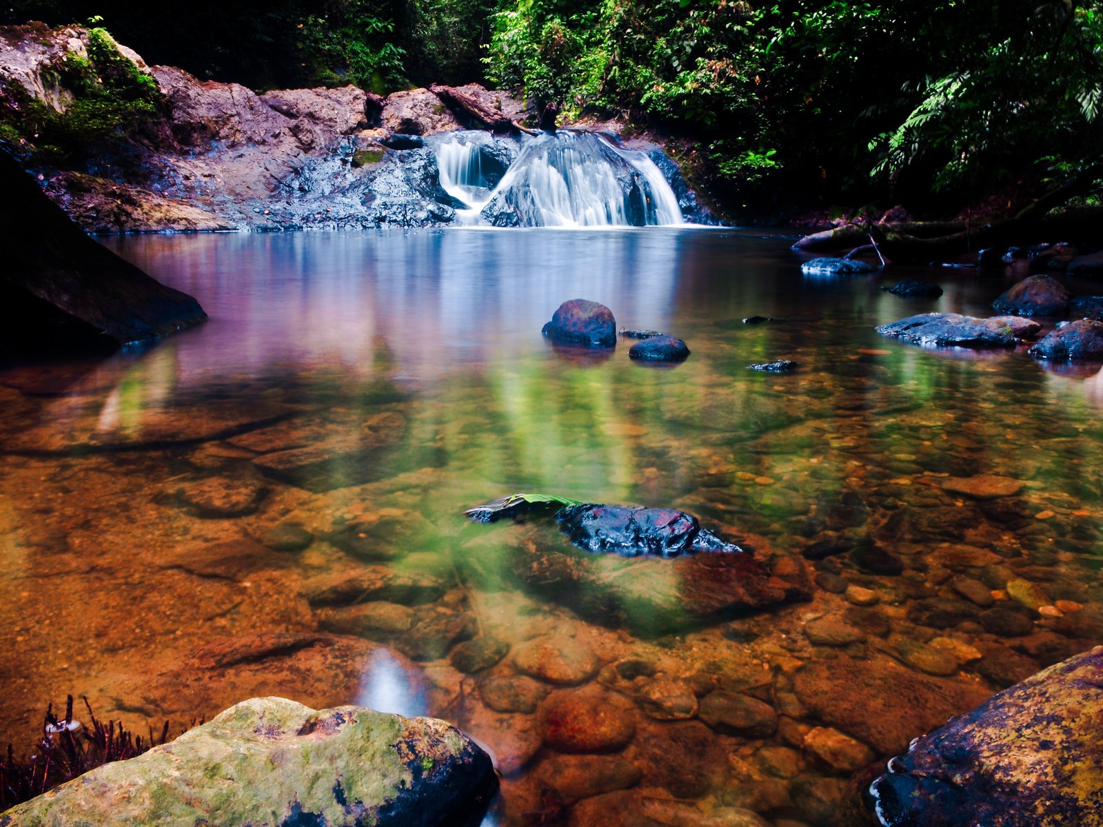 Обои река, лес, водопад, дно, прозрачное, вудленд, river, forest, waterfall, the bottom, transparent, woodland разрешение 4075x2706 Загрузить