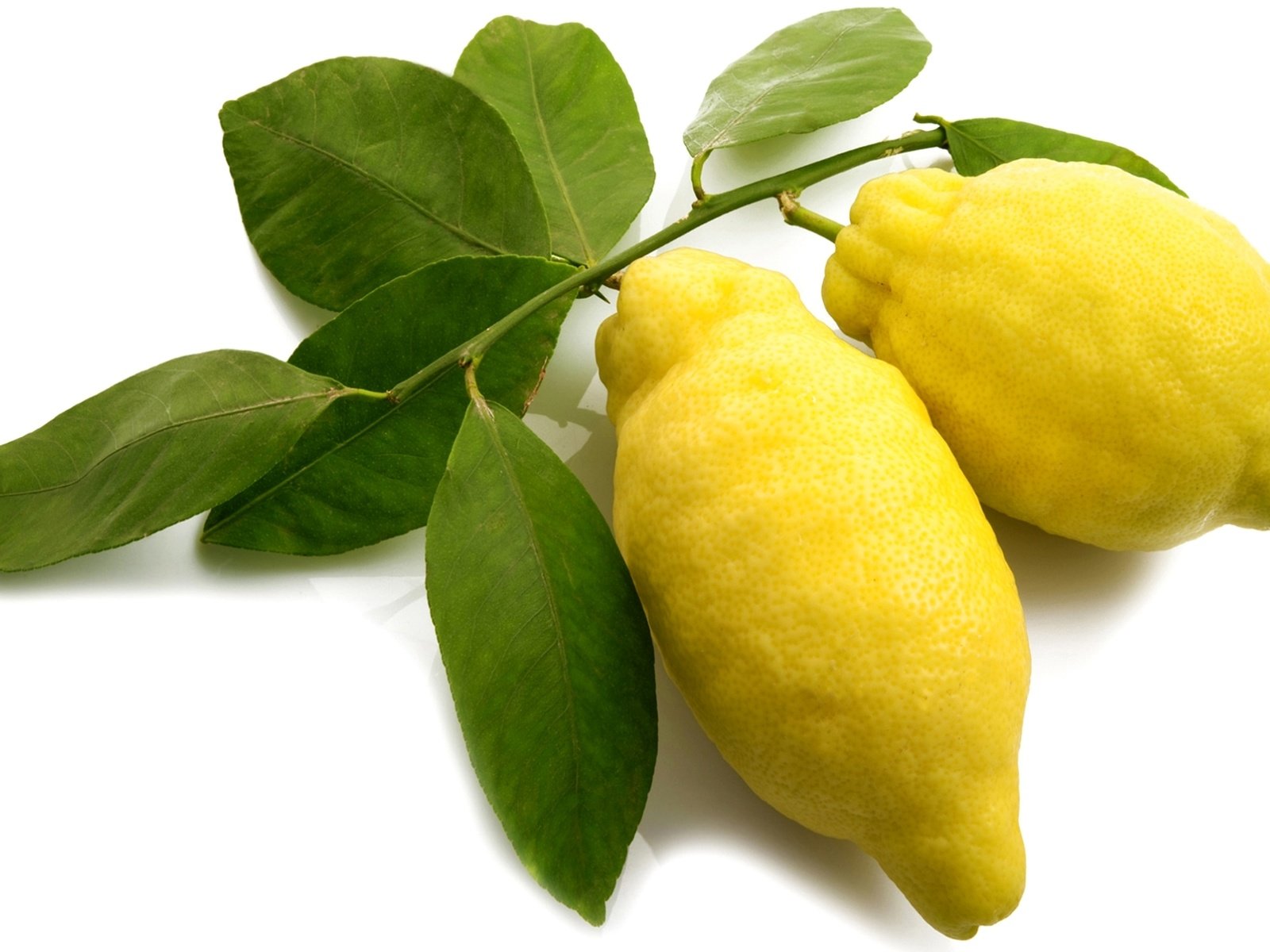 Обои фрукты, желтые, лимоны, цитрусы, fruit, yellow, lemons, citrus разрешение 1920x1267 Загрузить