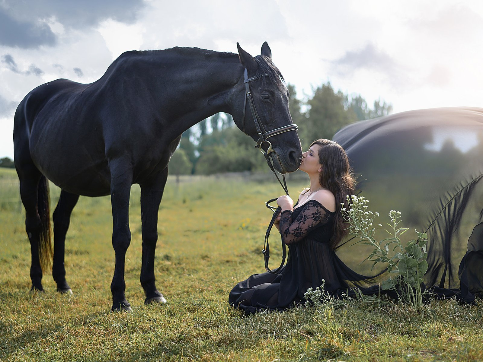 Обои природа, девушка, лето, конь, nature, girl, summer, horse разрешение 2048x1271 Загрузить