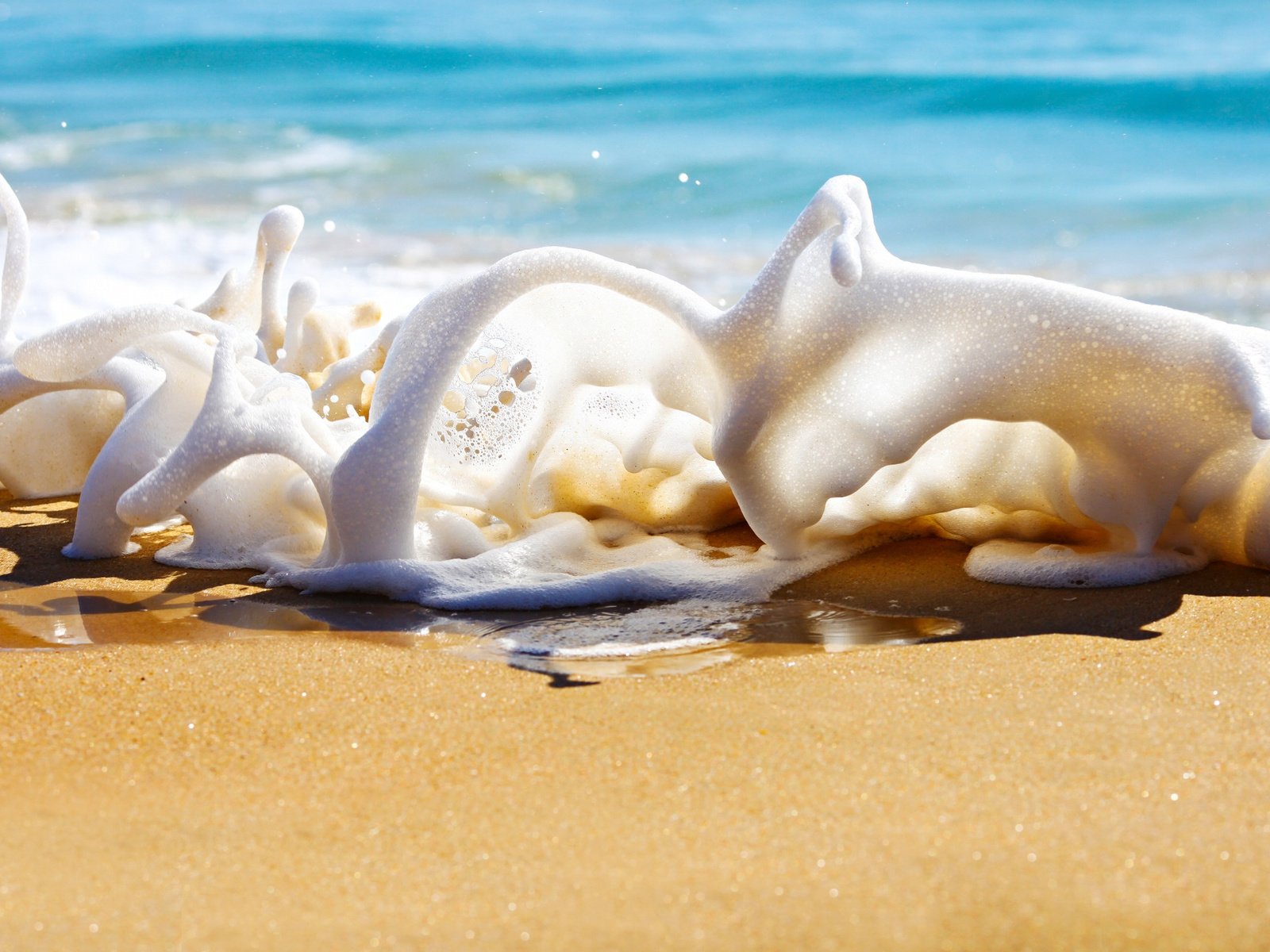 Обои море, песок, пляж, брызги, пена, sea, sand, beach, squirt, foam разрешение 2048x1365 Загрузить