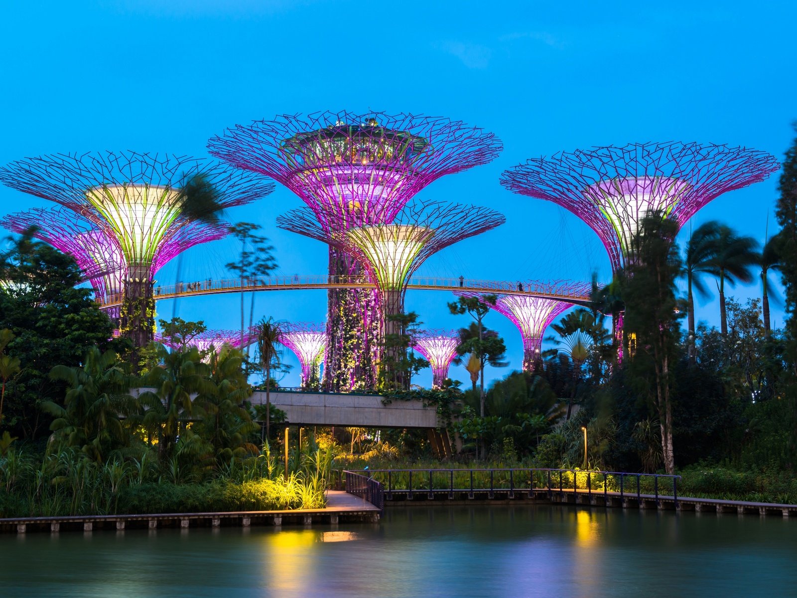 Обои деревья, сингапур, вечер, gardens by the bay, дизайн, парк, иллюминация, пальмы, пруд, строение, trees, singapore, the evening, design, park, illumination, palm trees, pond, structure разрешение 2880x1920 Загрузить