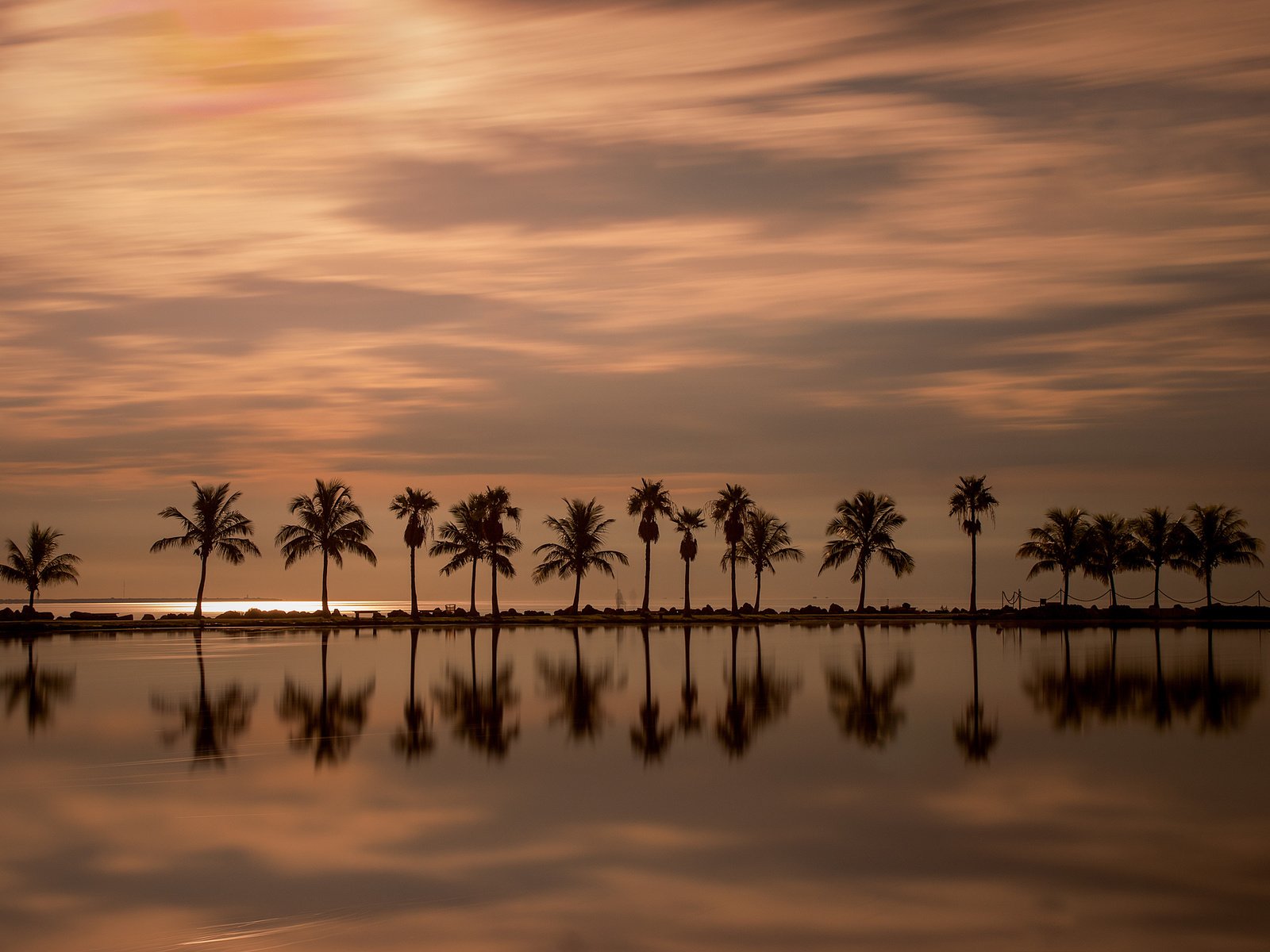 Обои вечер, закат, отражение, пальмы, океан, гладь, флорида, майами, the evening, sunset, reflection, palm trees, the ocean, surface, fl, miami разрешение 2560x1594 Загрузить