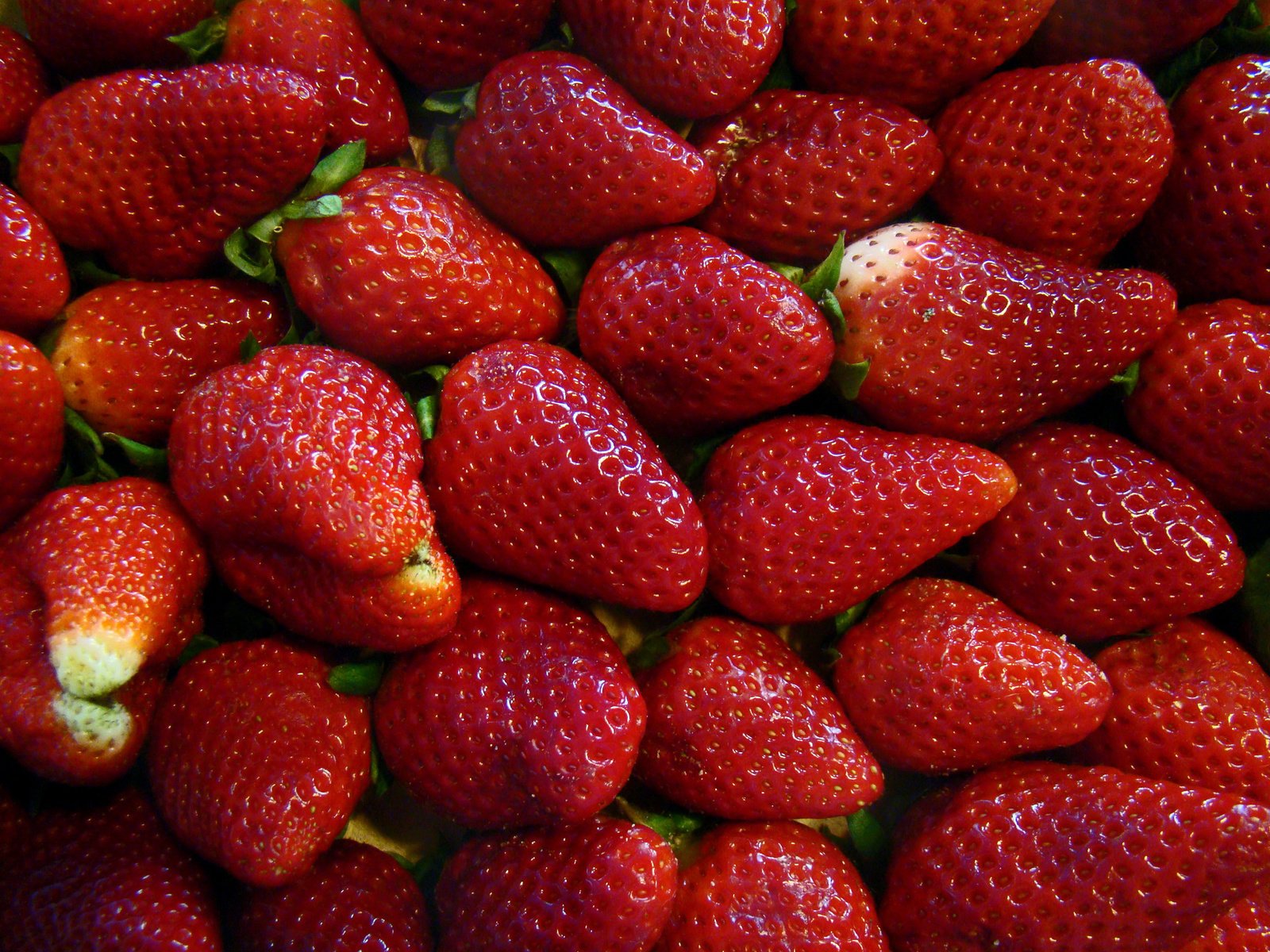 Обои красная, клубника, спелая, ягоды, red, strawberry, ripe, berries разрешение 2700x2025 Загрузить