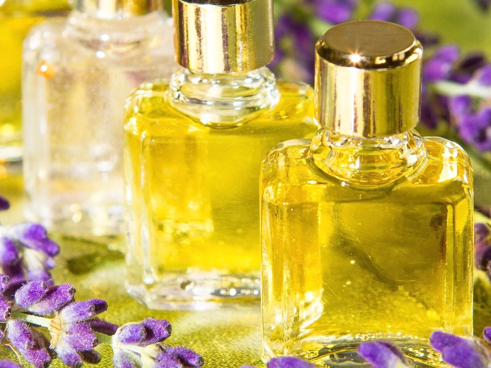 Обои цветы, лаванда, масло, флаконы, аромат, духи, flowers, lavender, oil, bottles, aroma, perfume разрешение 2560x1600 Загрузить