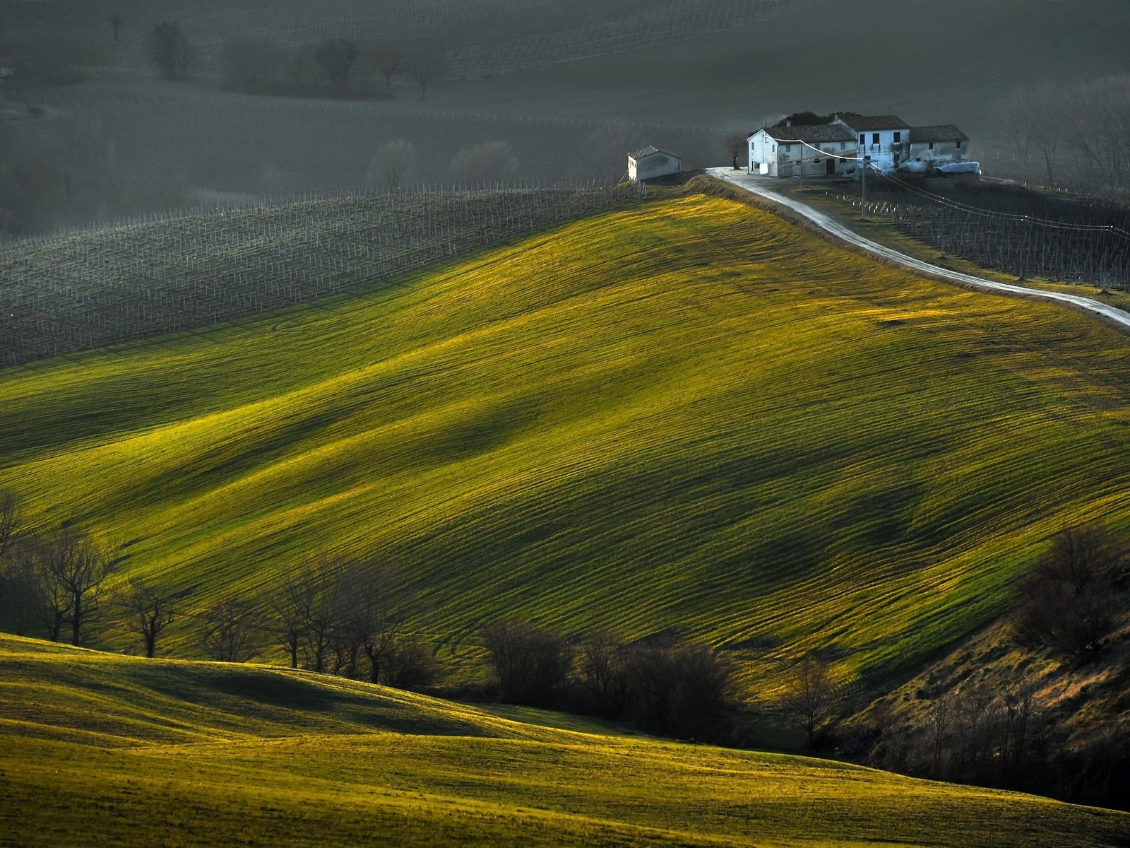 Обои дорога, деревья, холмы, поле, дом, riccardo pesaresi, road, trees, hills, field, house разрешение 2560x1702 Загрузить