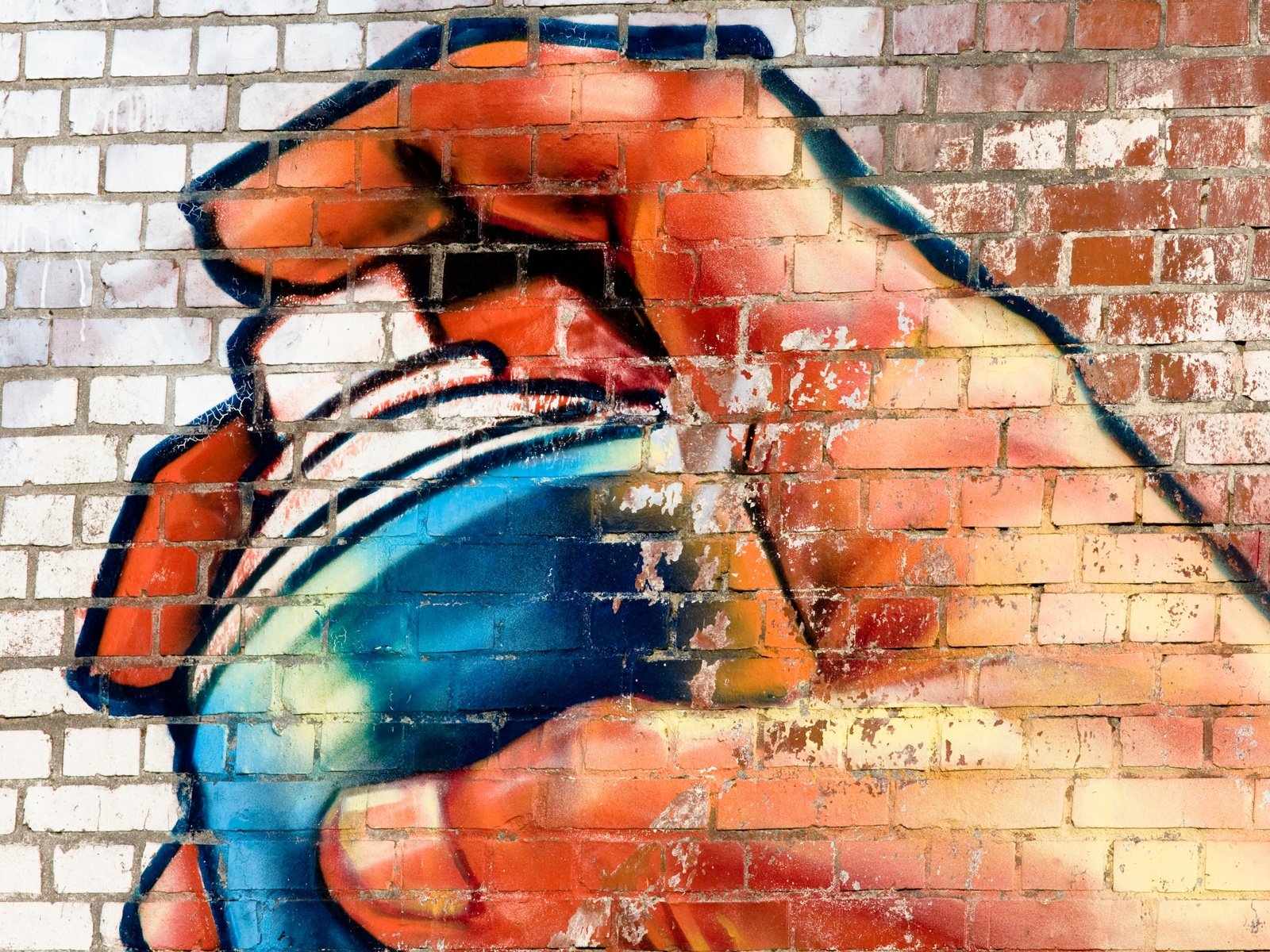 Обои текстура, поверхность, рука, кирпичная стена, фон, стена, краска, граффити, баллончик, кирпичи, texture, surface, hand, brick wall, background, wall, paint, graffiti, spray, bricks разрешение 4205x2852 Загрузить