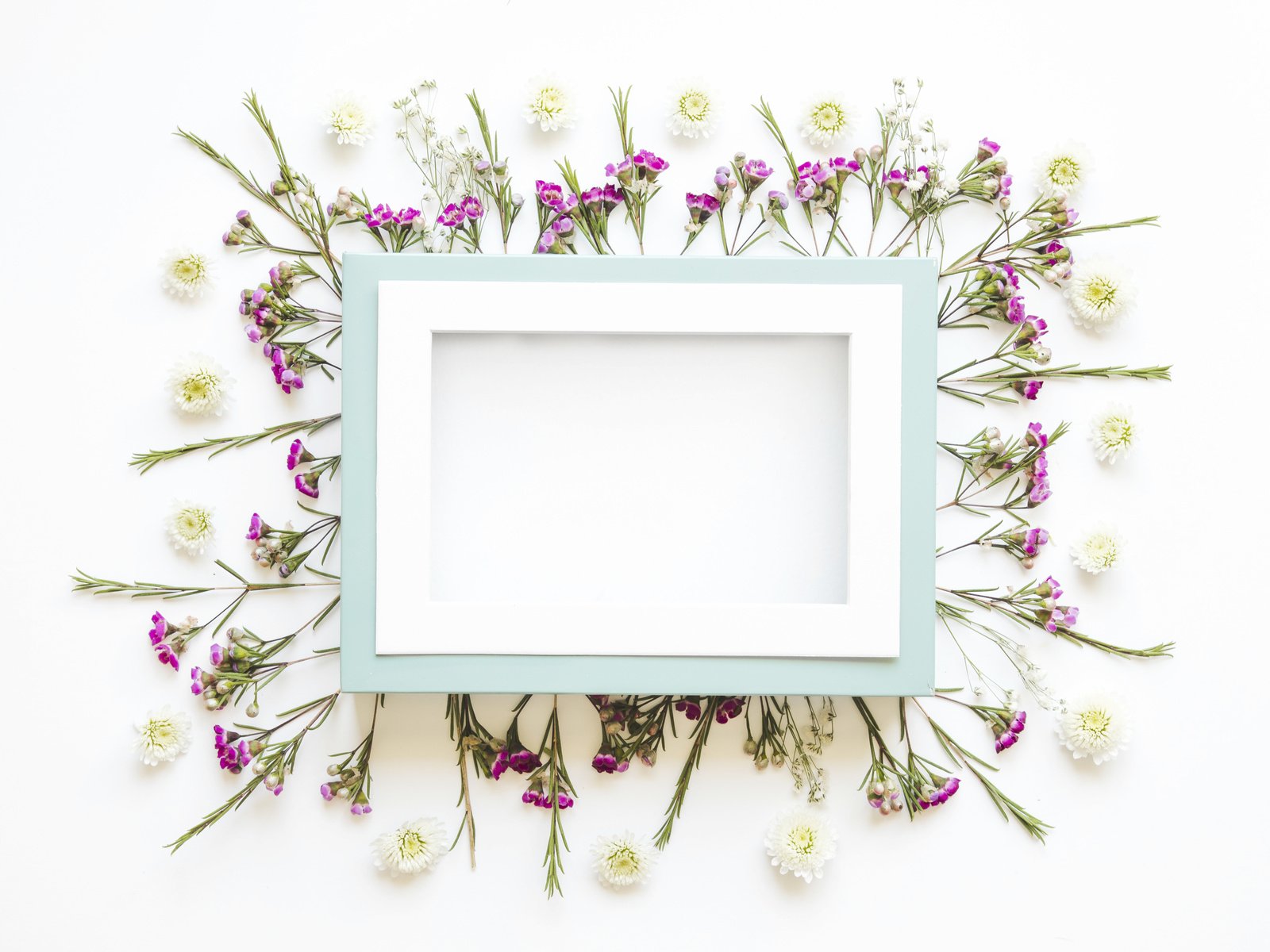 Обои цветы, лепестки, рамка, кадр,  цветы, декорация, декор, flowers, petals, frame, decoration, decor разрешение 5050x3367 Загрузить