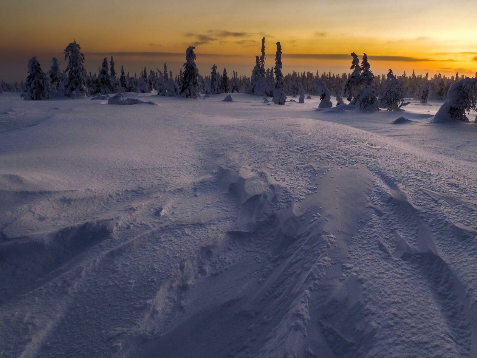 Обои ночь, снег, зима, поле, night, snow, winter, field разрешение 3840x2160 Загрузить