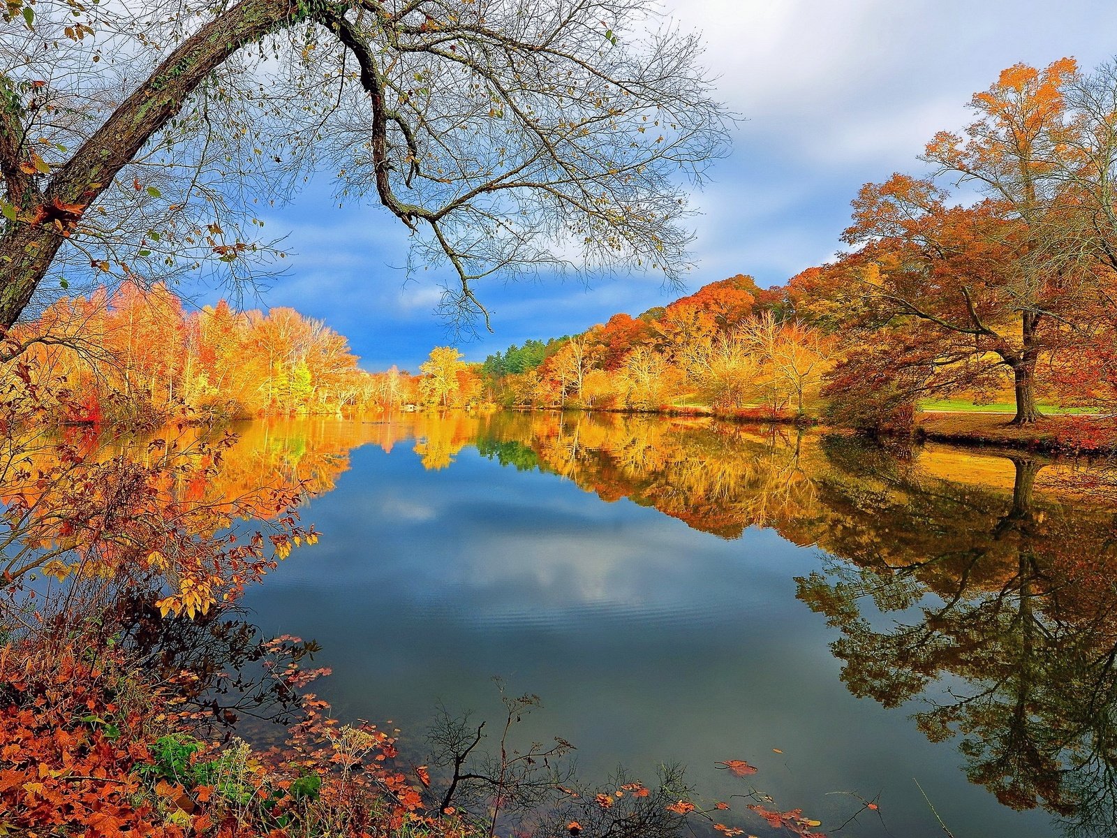 Обои деревья, осень, trees, autumn разрешение 3840x2160 Загрузить