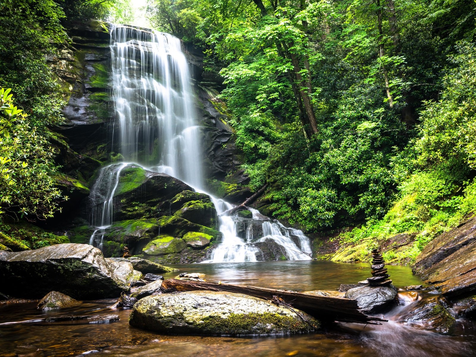 Обои деревья, вода, природа, камни, лес, водопад, trees, water, nature, stones, forest, waterfall разрешение 5120x3417 Загрузить